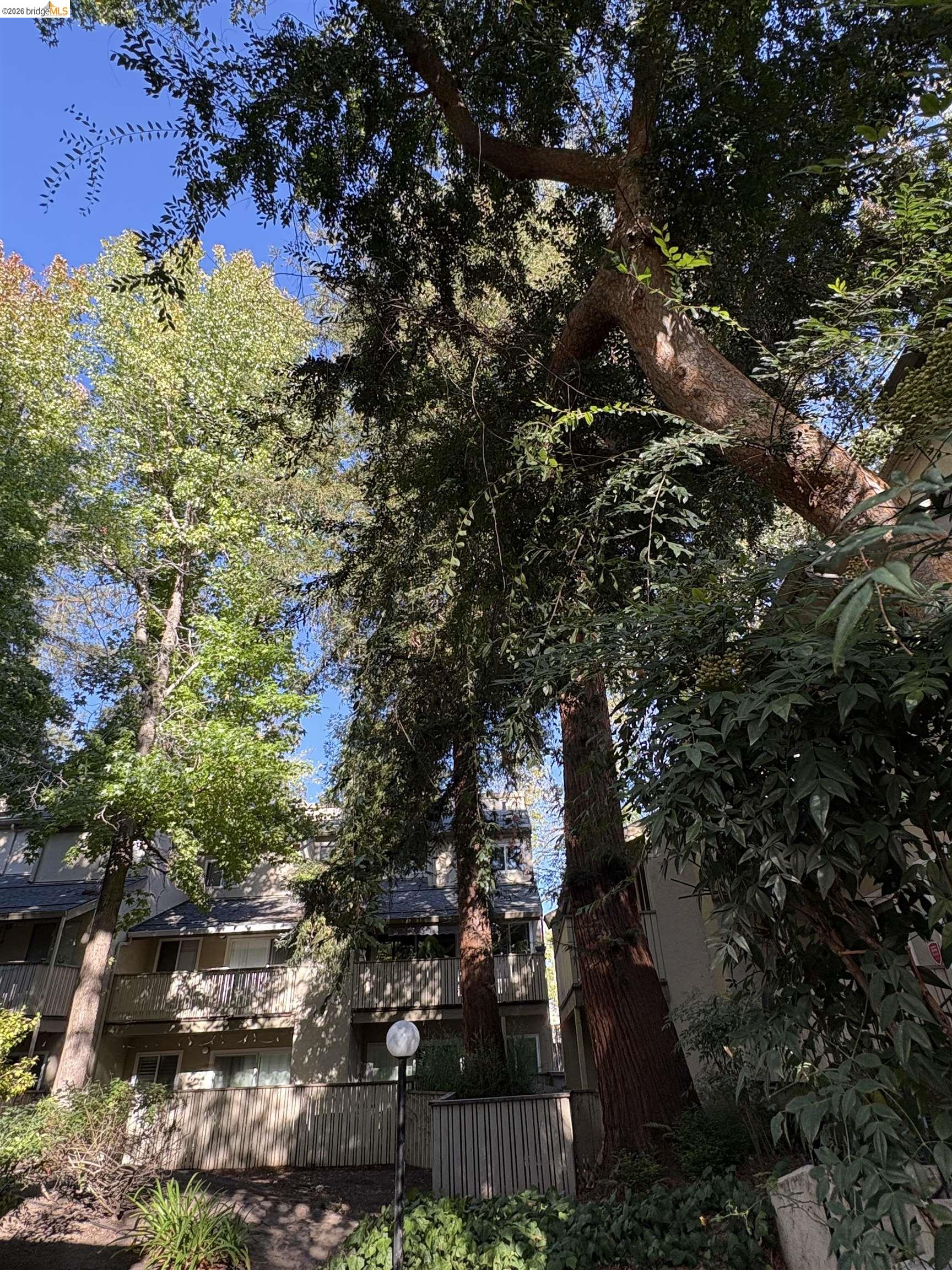 2704 Oak Rd # 75, Walnut Creek CA 94597 — photo 23