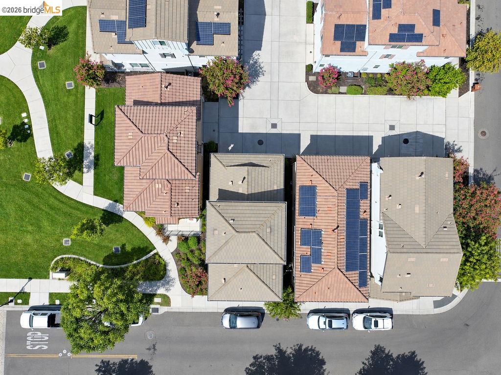 806 Queen Palm Ln, Brentwood CA 94513 — photo 35