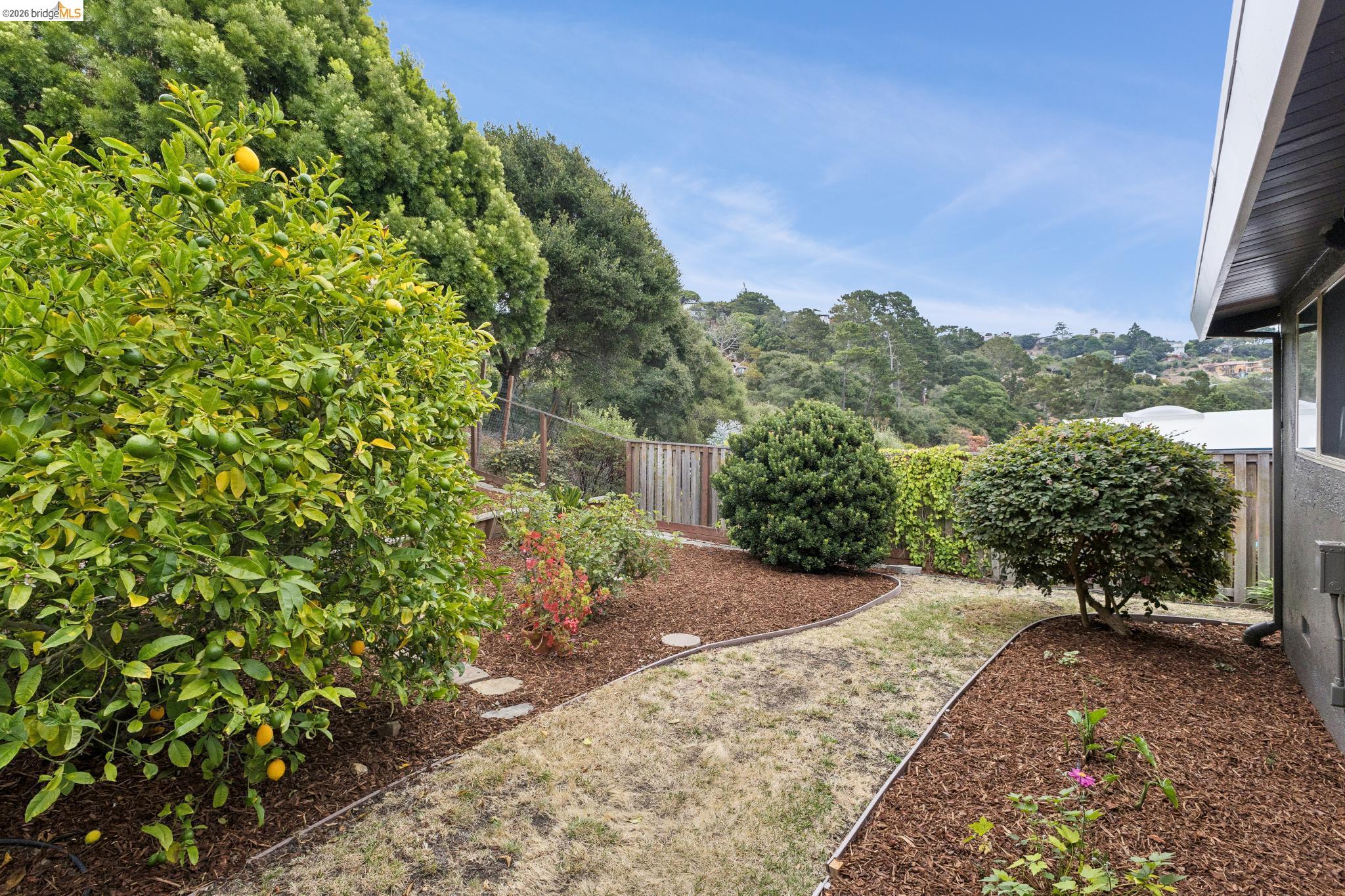 7820 Potrero Ave, El Cerrito CA 94530 — photo 33