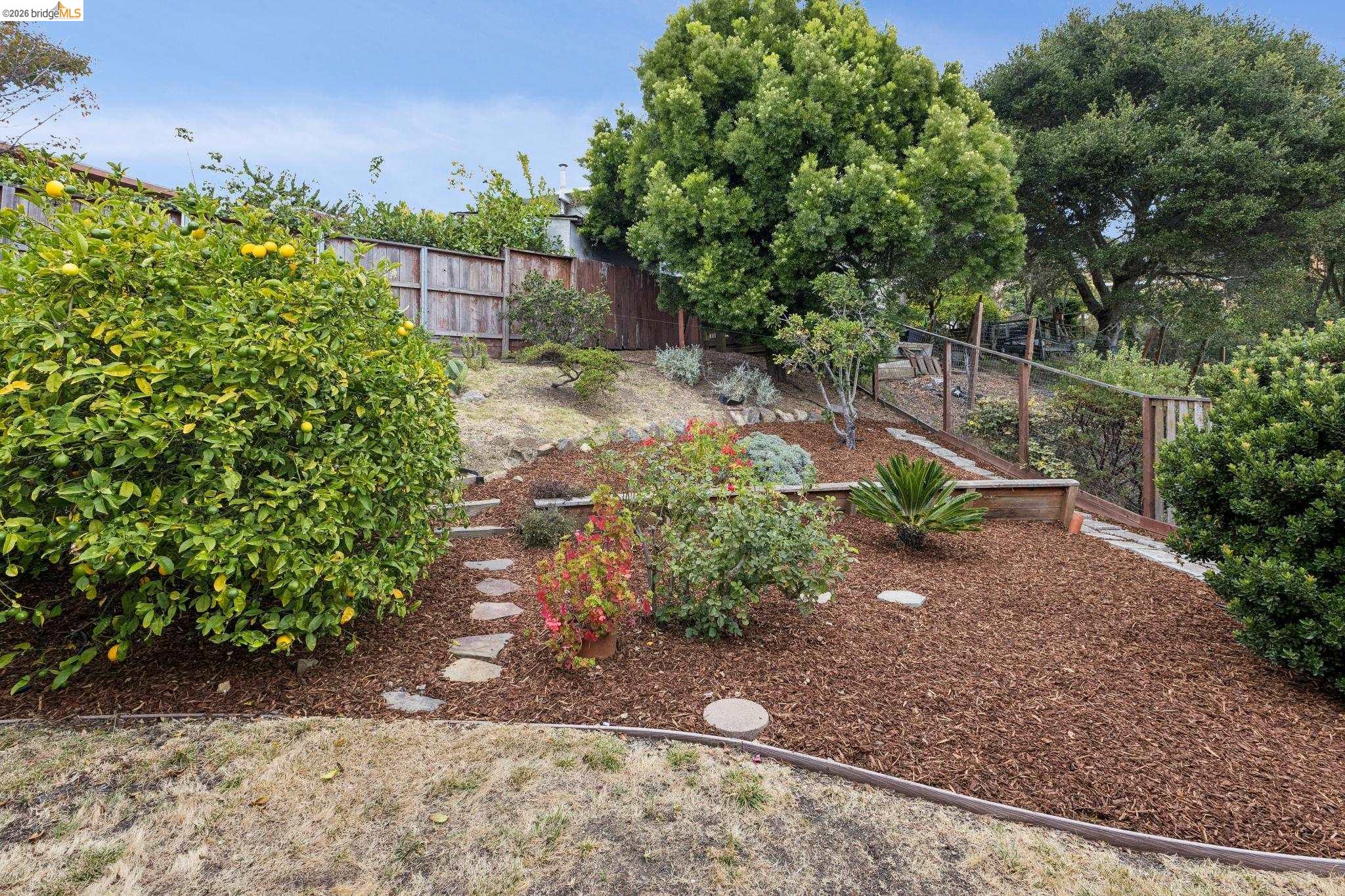 7820 Potrero Ave, El Cerrito CA 94530 — photo 34