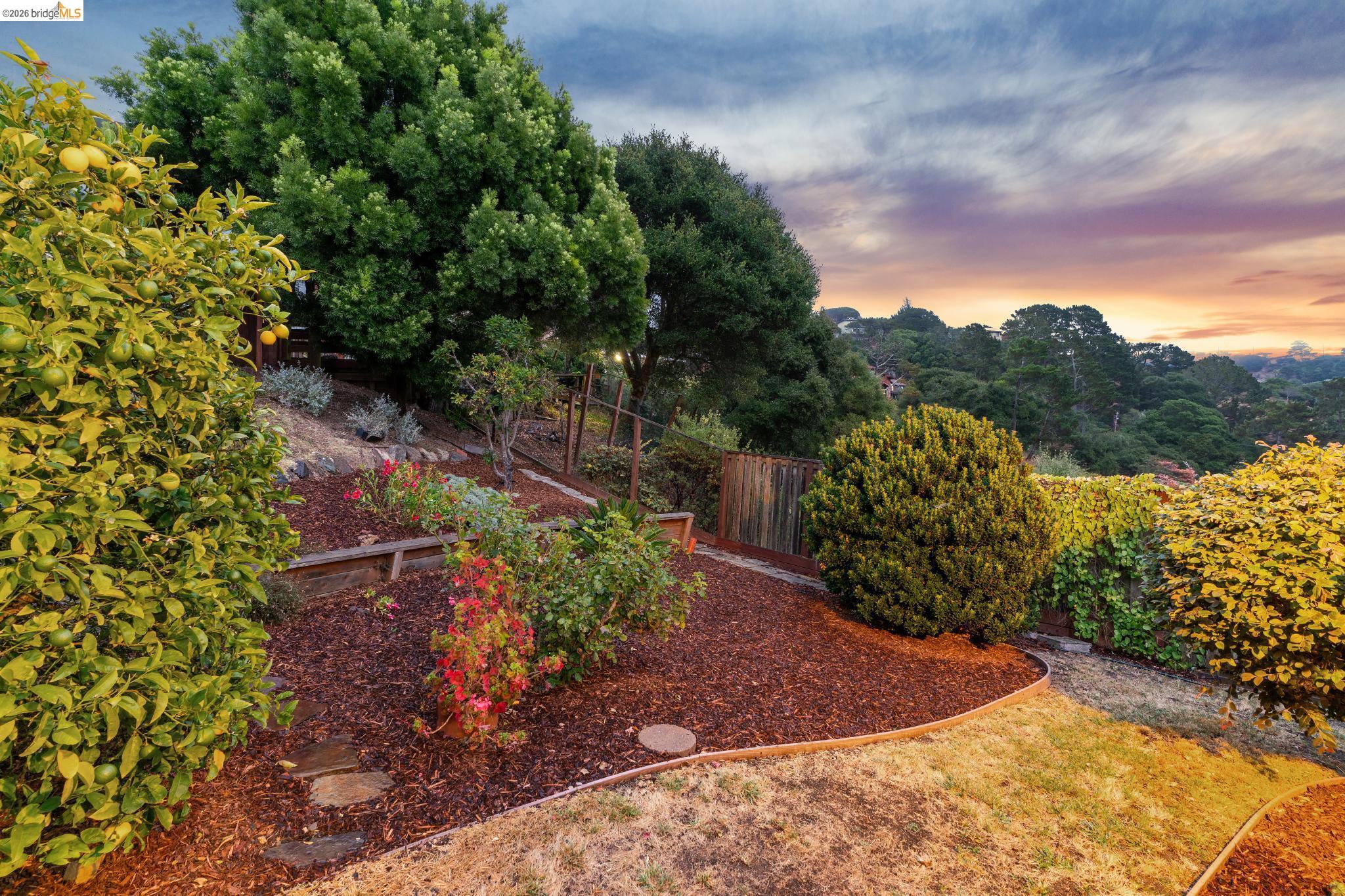 7820 Potrero Ave, El Cerrito CA 94530 — photo 44