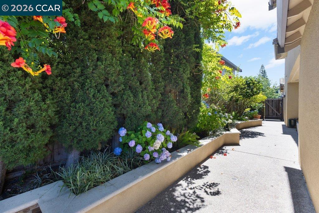 318 Sunset Dr, Danville CA 94506 — photo 45