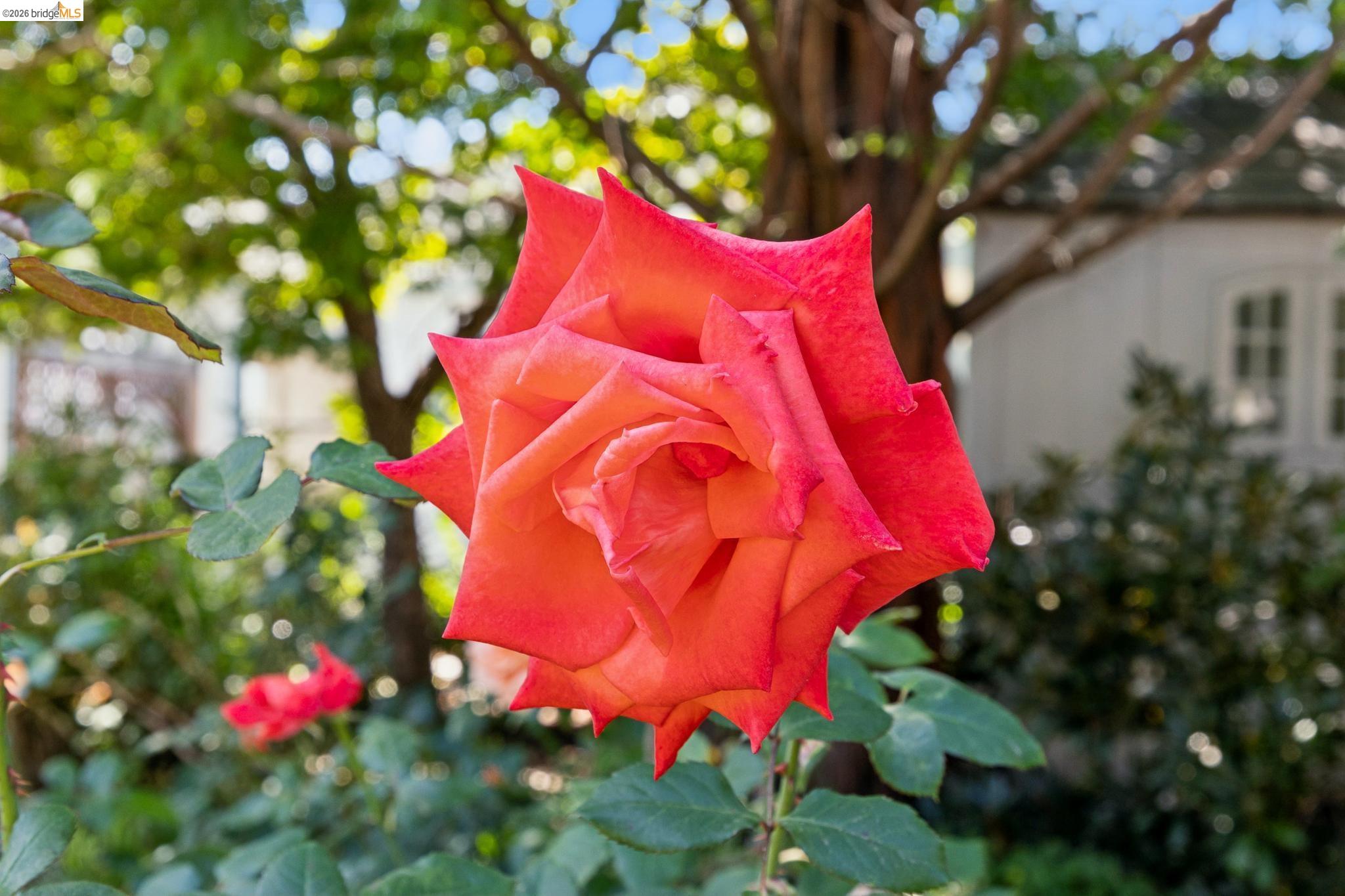 3027 Regent St, Berkeley CA 94705 — photo 41