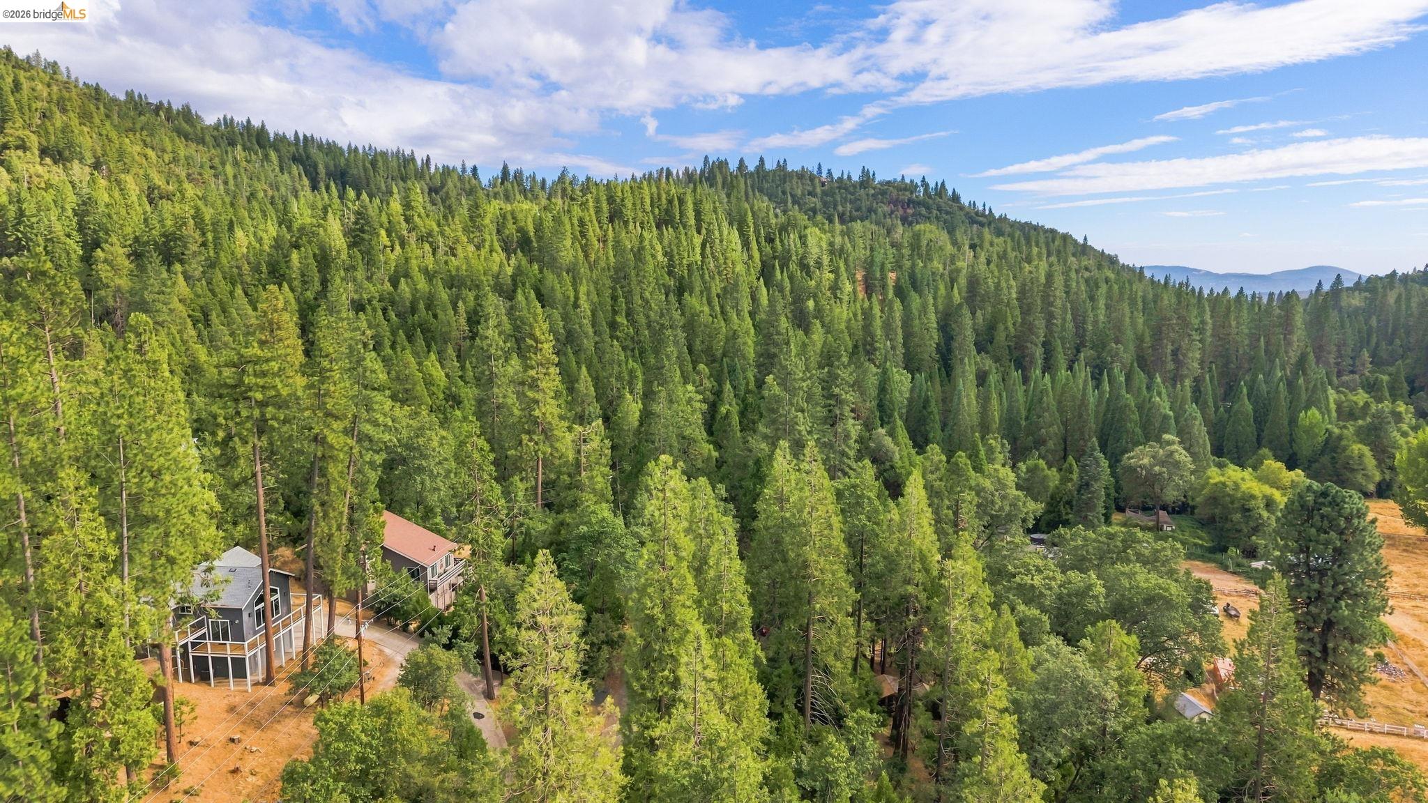 21837 Cedar Springs Rd, Twain Harte CA 95383 — photo 33