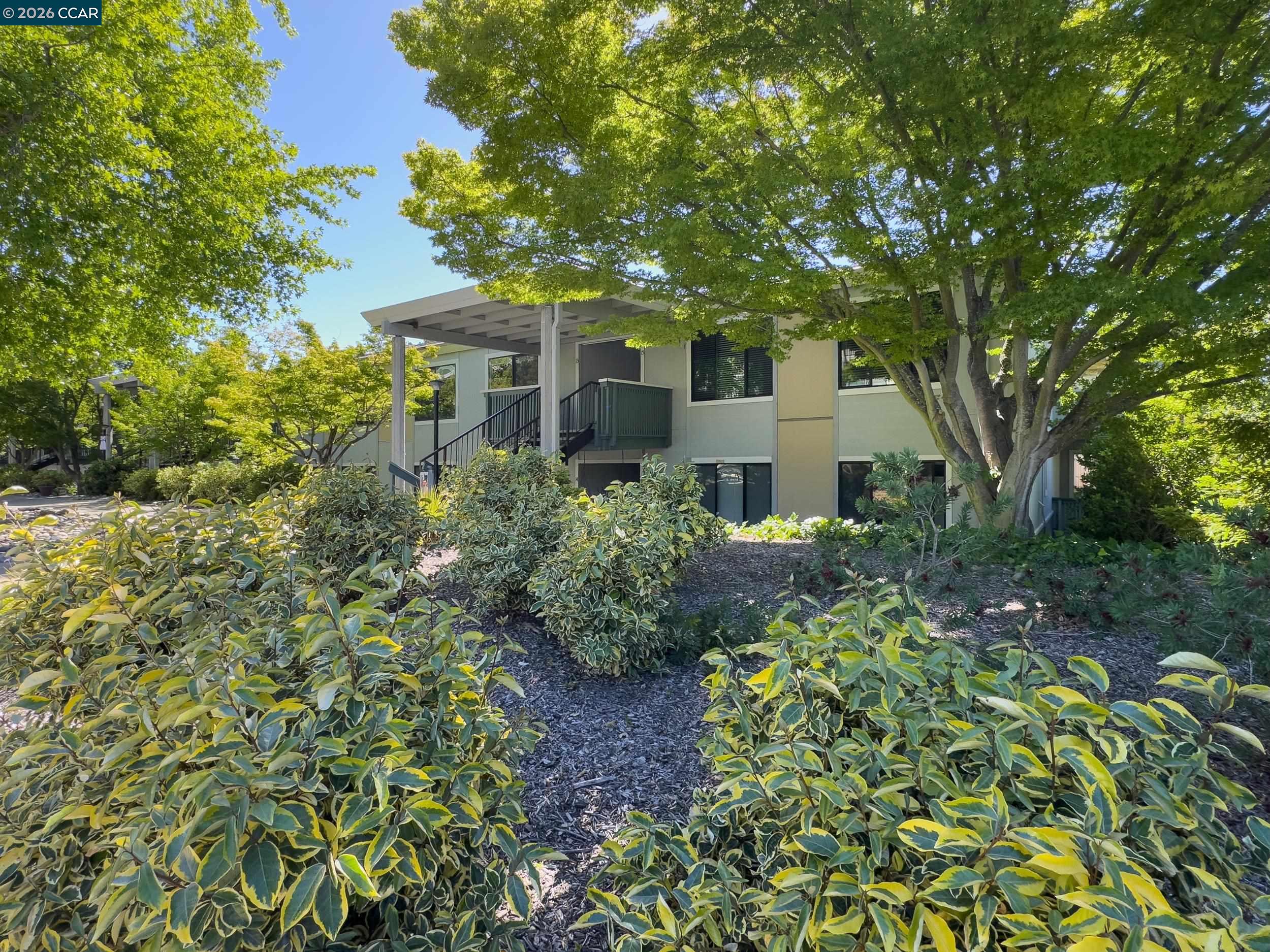 3349 Golden Rain Rd # 15, Walnut Creek CA 94595 — photo 39