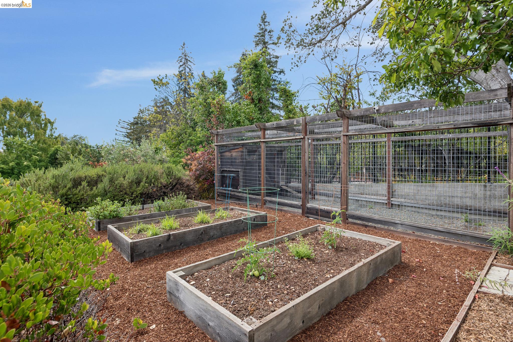 331 Hillside Ave, Piedmont CA 94611 — photo 57