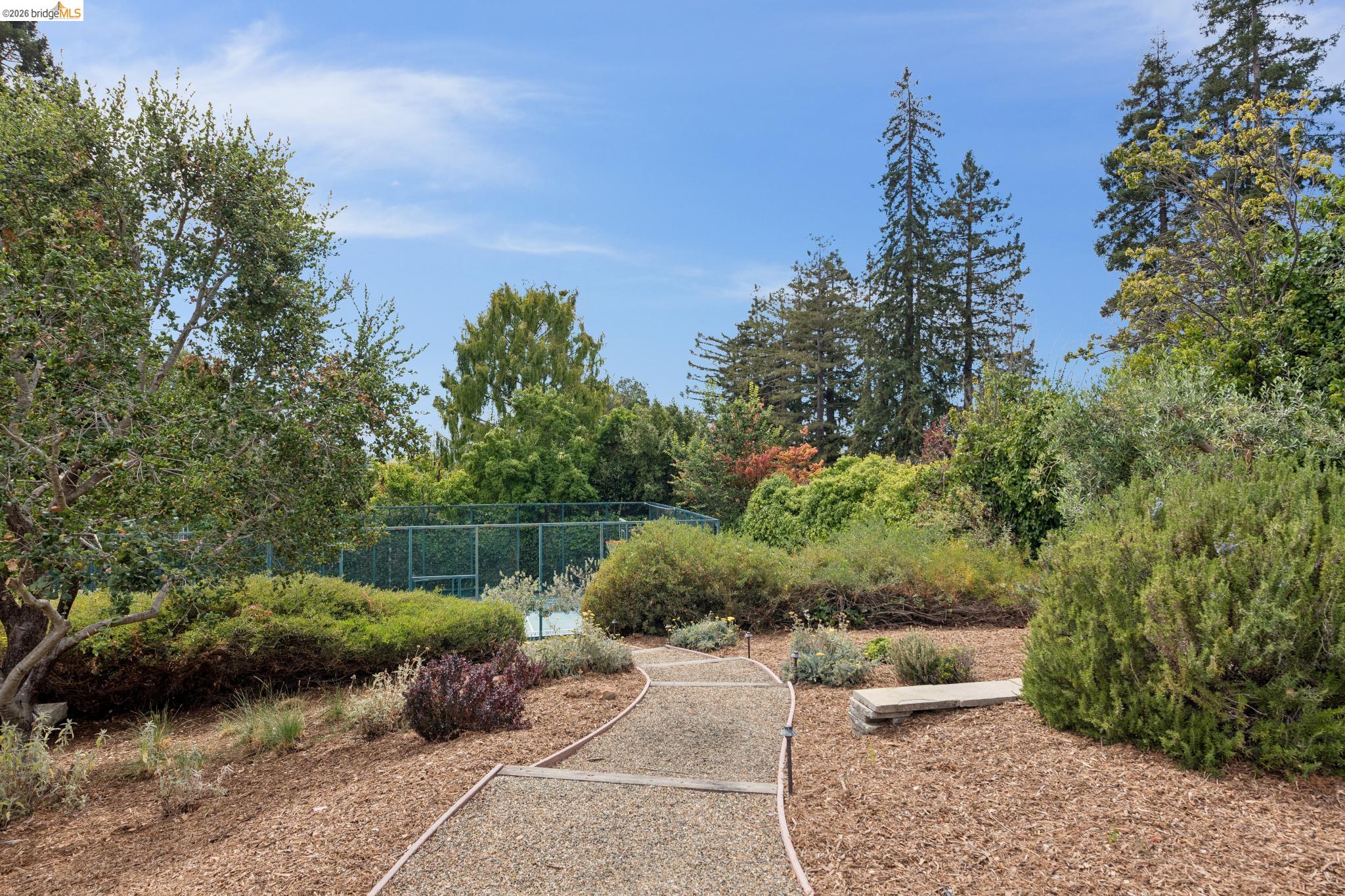 331 Hillside Ave, Piedmont CA 94611 — photo 64
