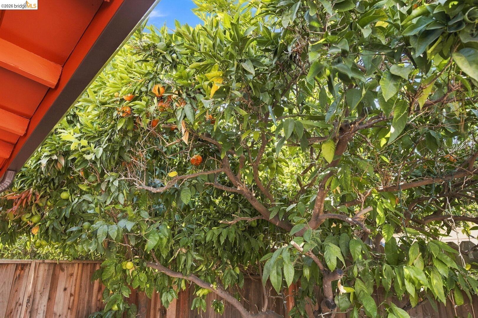 68 Water ST, Bay Point CA 94565 — photo 64