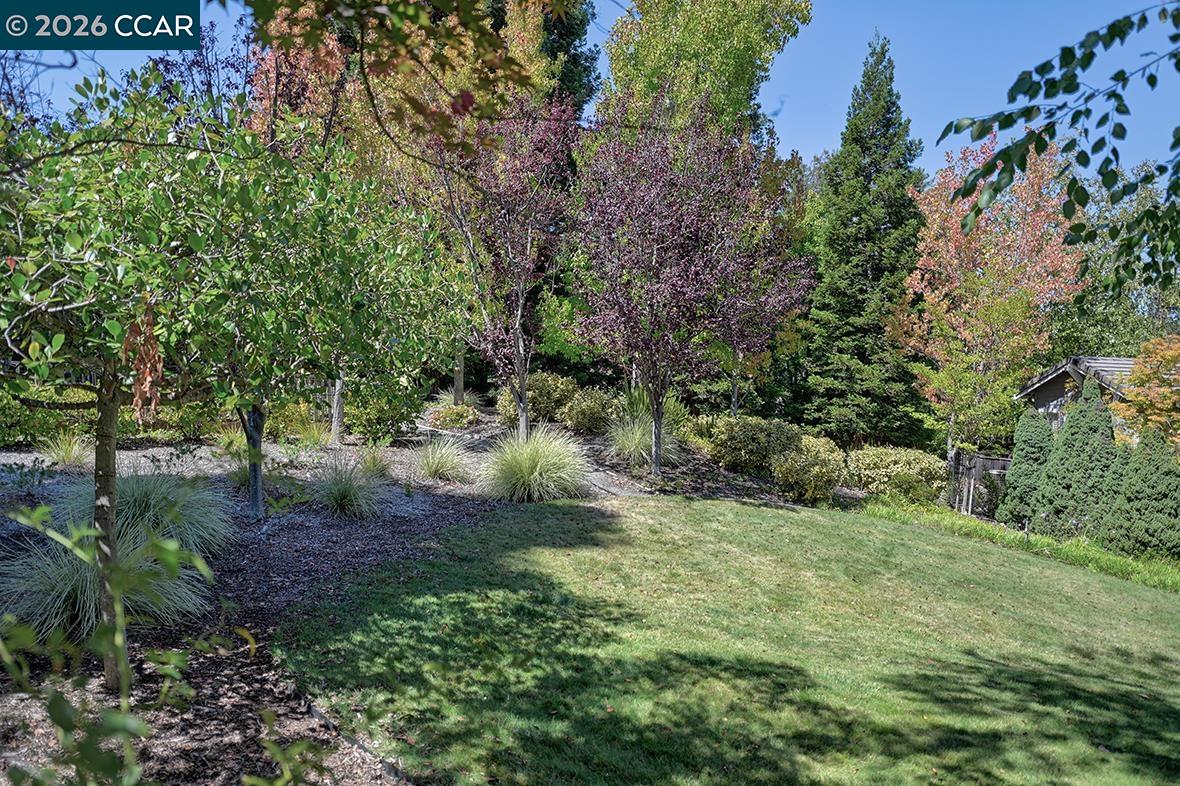 1804 Wales, Walnut Creek CA 94595 — photo 34