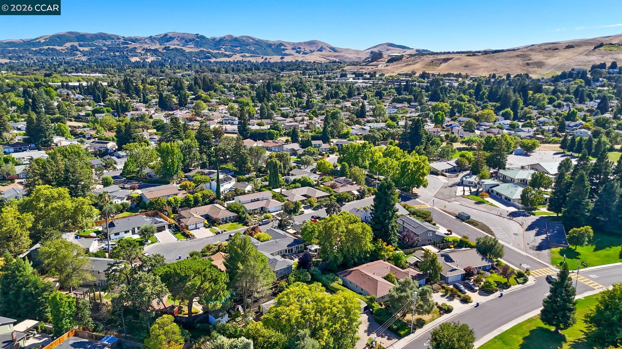 1517 Harlan Dr, Danville CA 94526 — photo 45