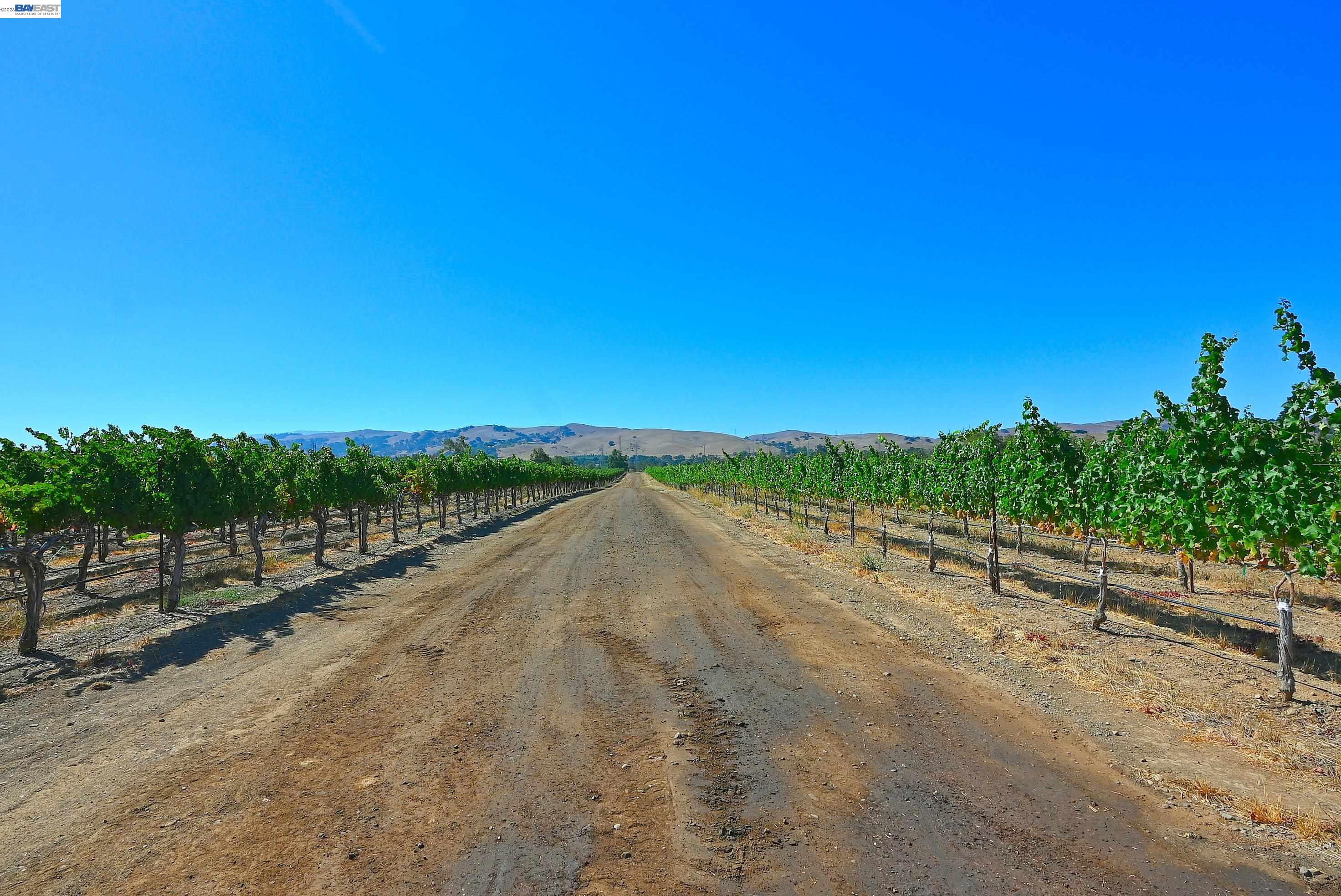 00 Arroyo Rd, Livermore CA 94550 — photo 12