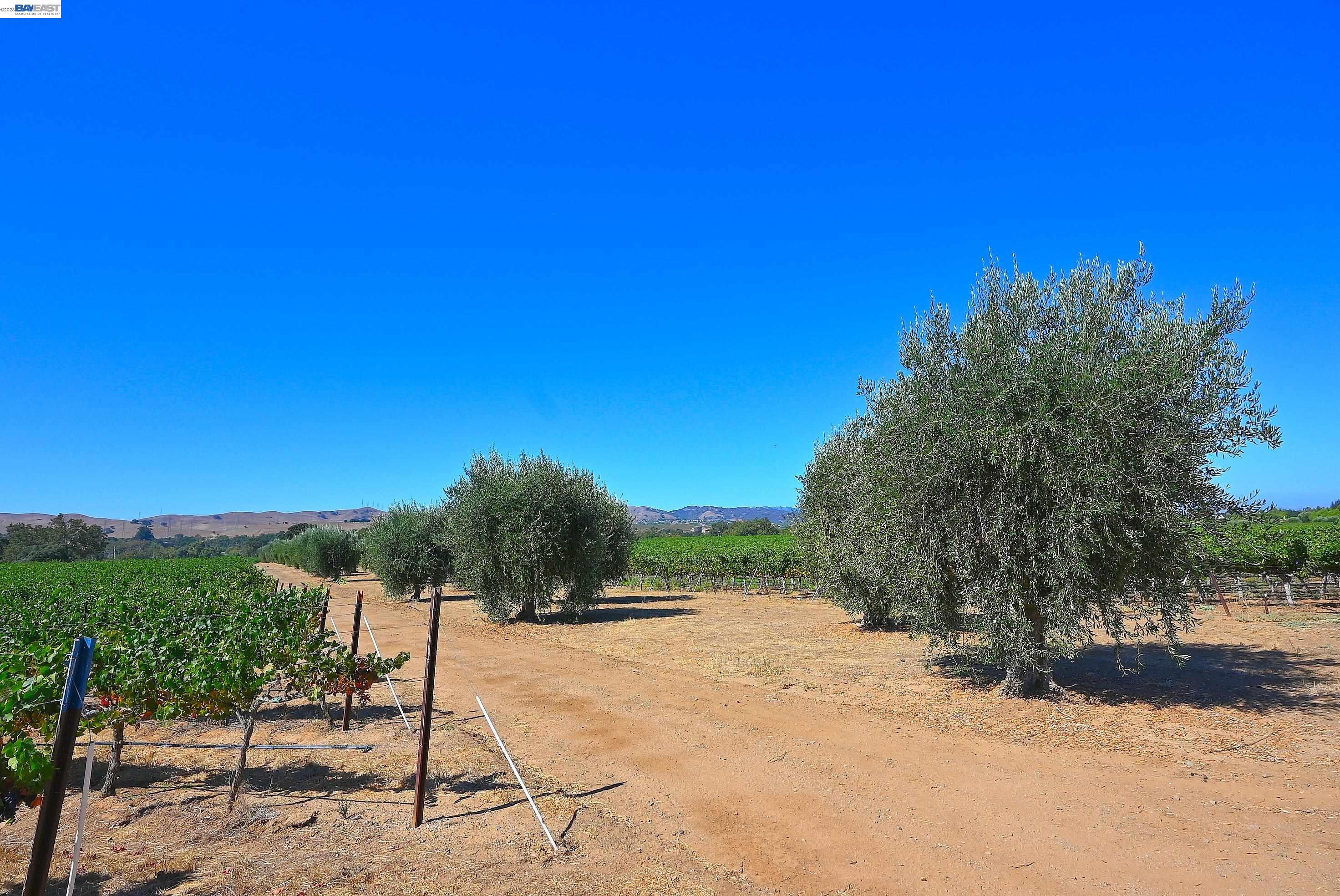 00 Arroyo Rd, Livermore CA 94550 — photo 15