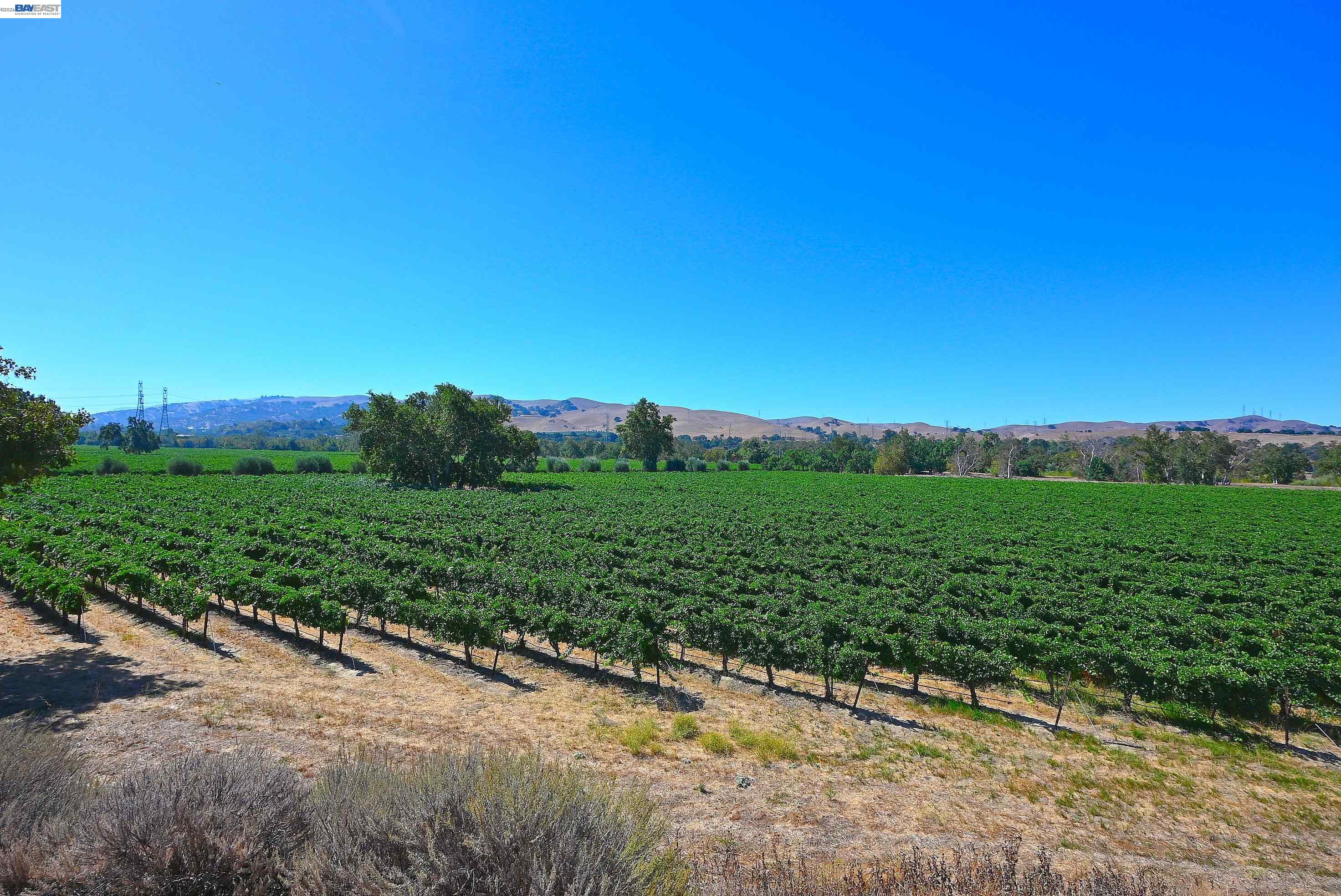 00 Arroyo Rd, Livermore CA 94550 — photo 16