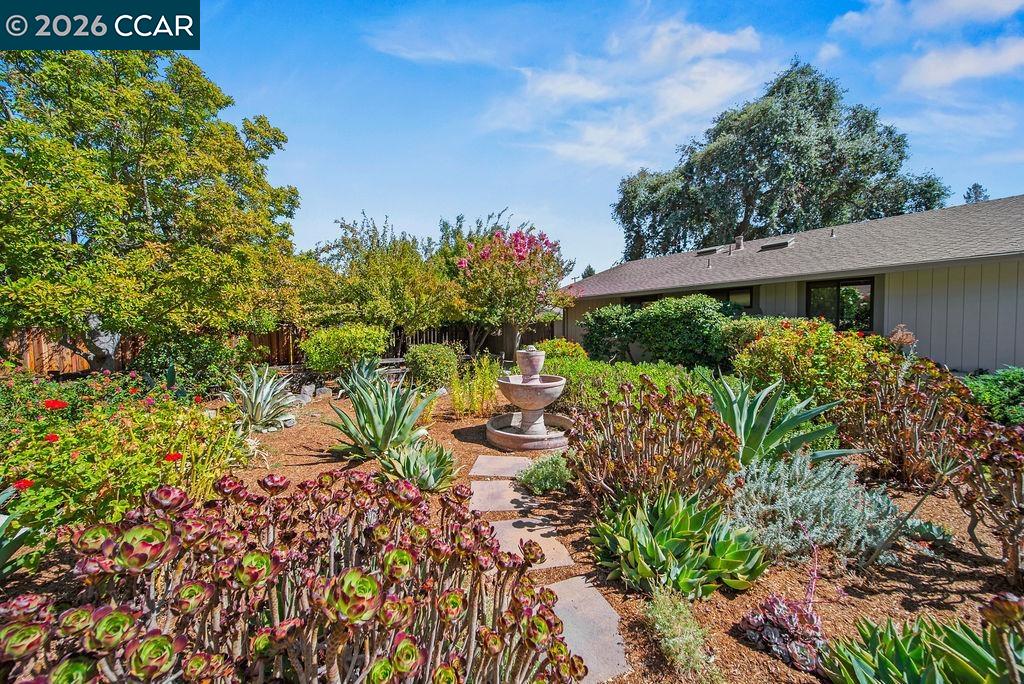 555 Kismet Ct, Walnut Creek CA 94597 — photo 44