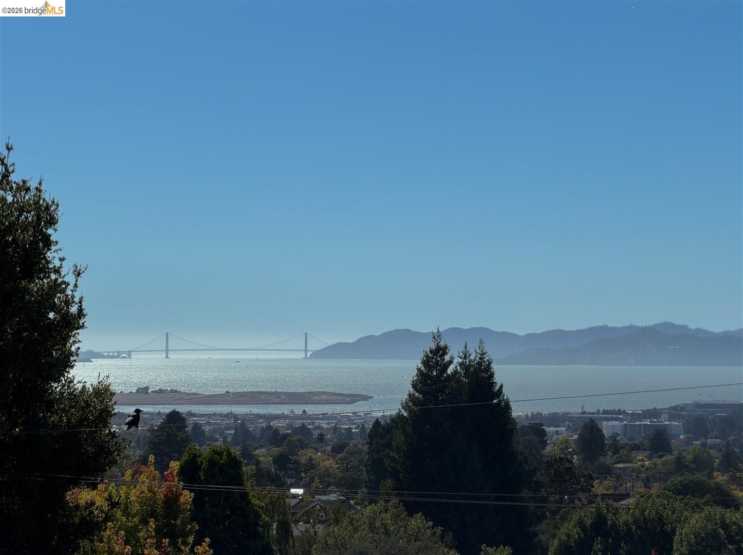 955 Shattuck Avenue, Berkeley CA 94707 — photo 22