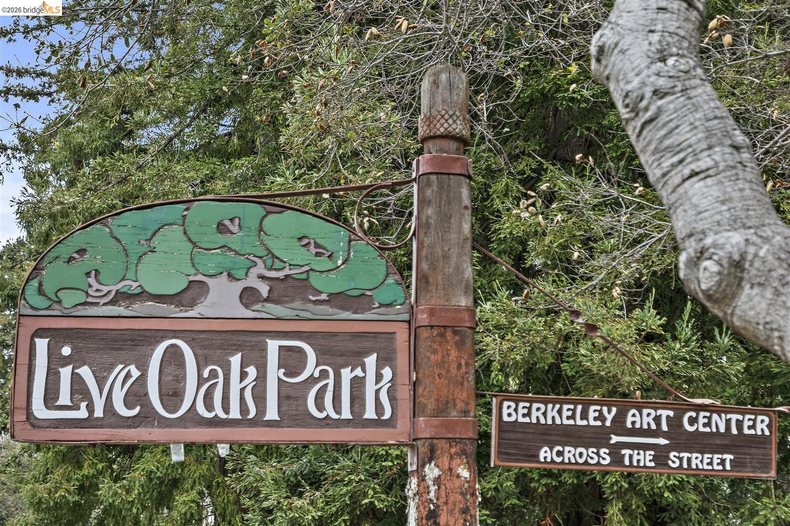 955 Shattuck Avenue, Berkeley CA 94707 — photo 65