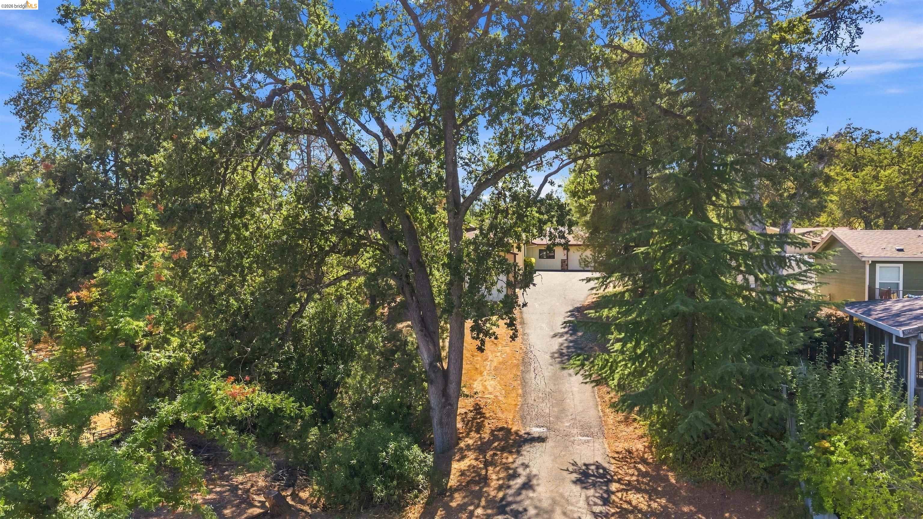 1240 Suzanne Dr, Angels Camp CA 95222 — photo 43