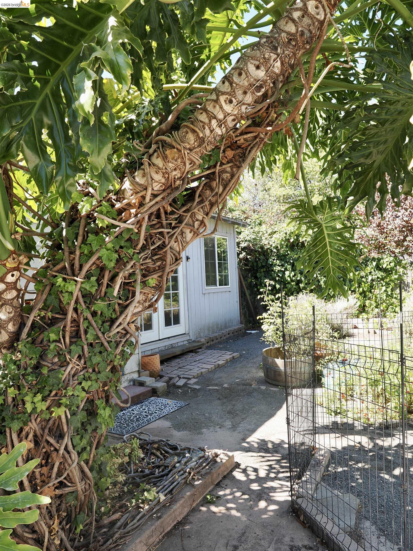 1225 S 57th, Richmond CA 94804 — photo 16
