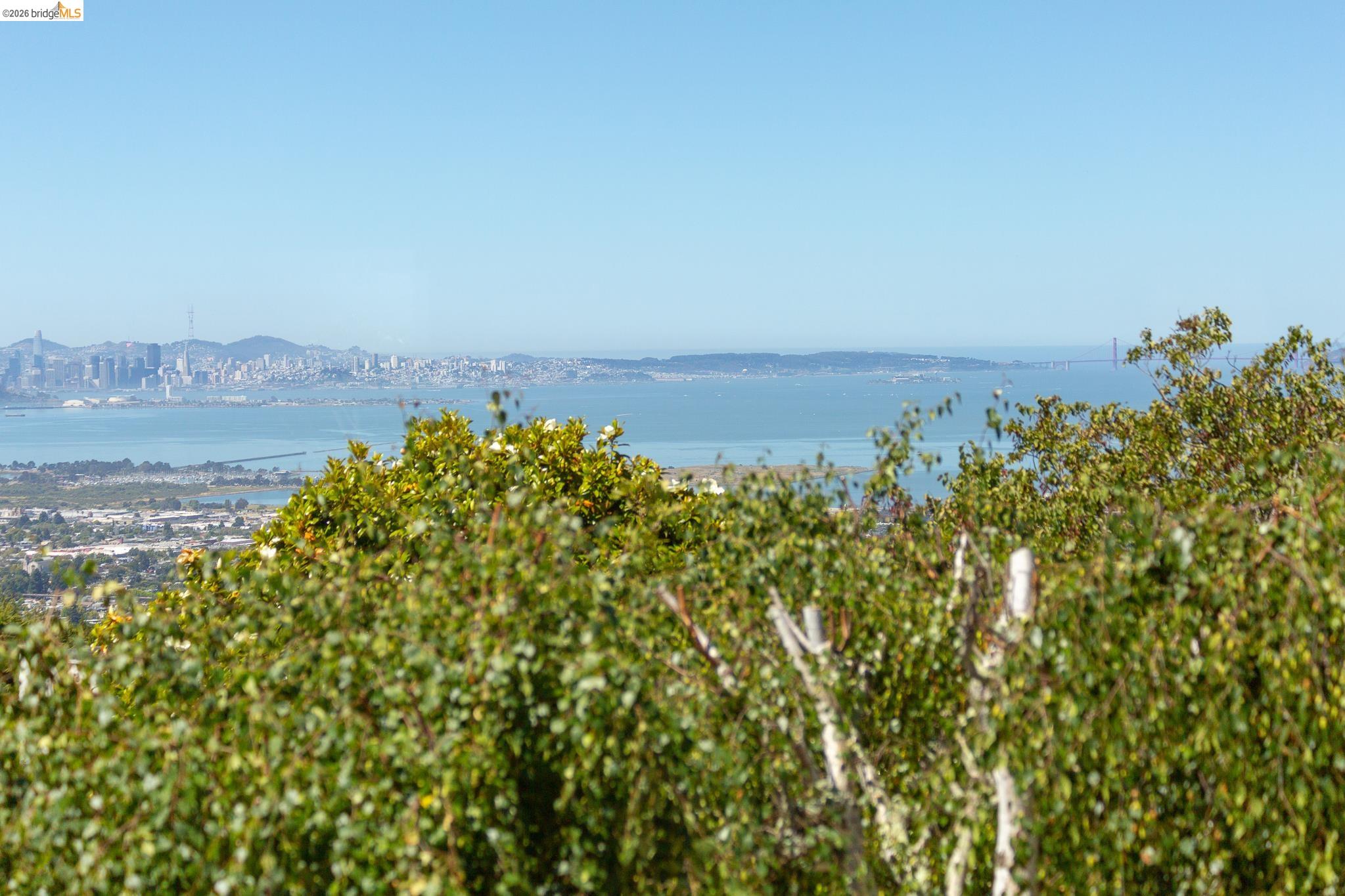 515 Cragmont Ave, Berkeley CA 94708 — photo 26