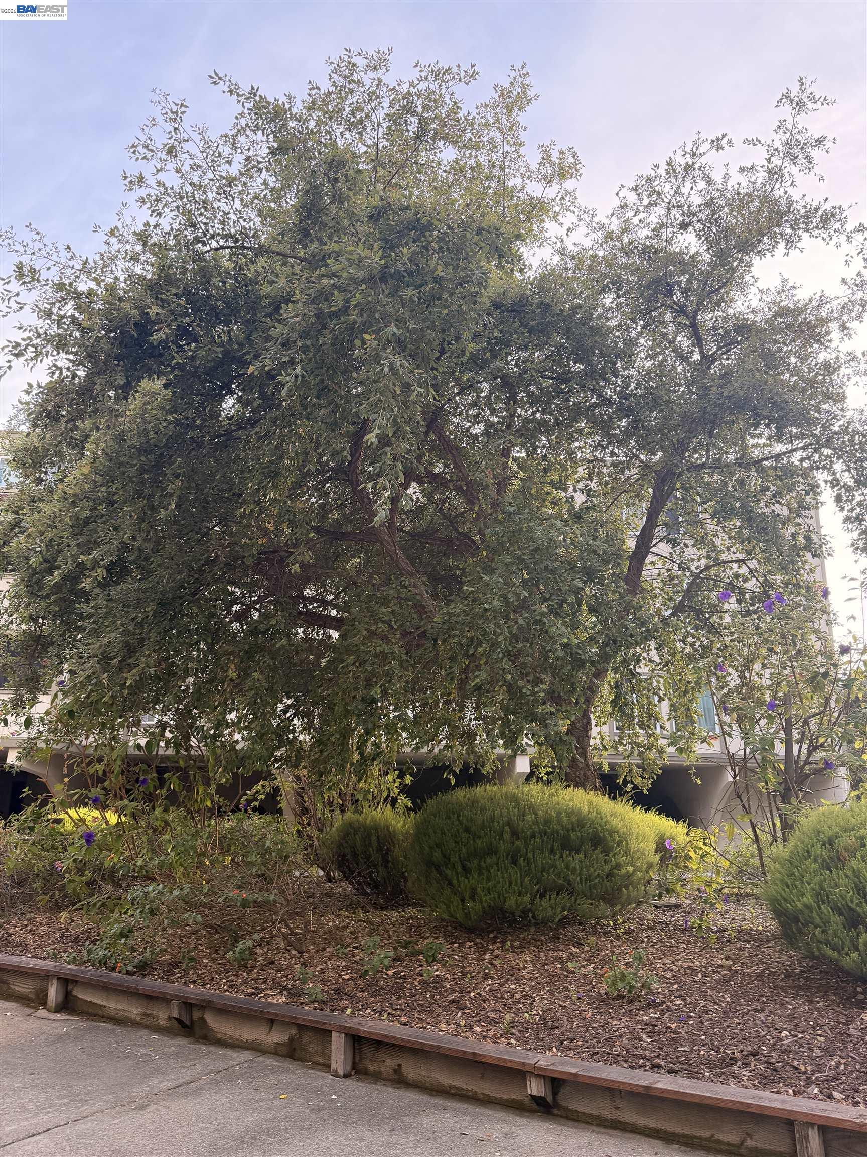 1510 E St # 22, Hayward CA 94541 — photo 43