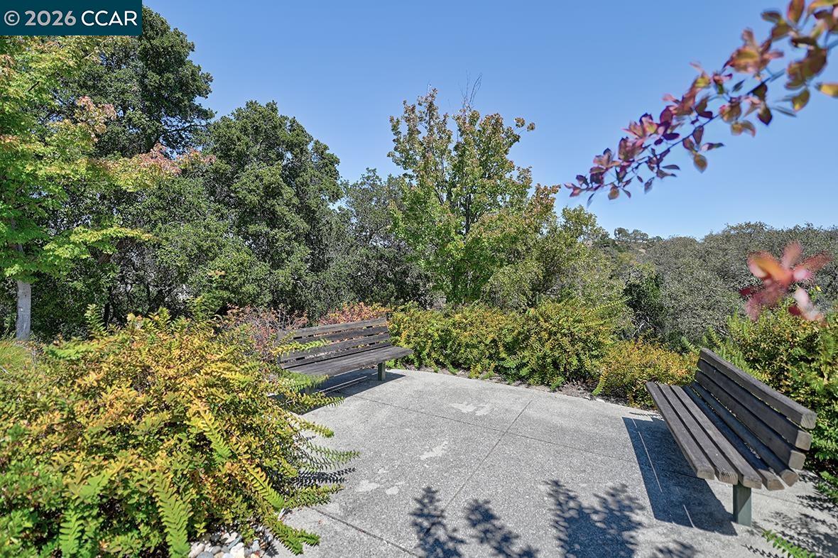 506 Quail Hill Ct, Walnut Creek CA 94595 — photo 52