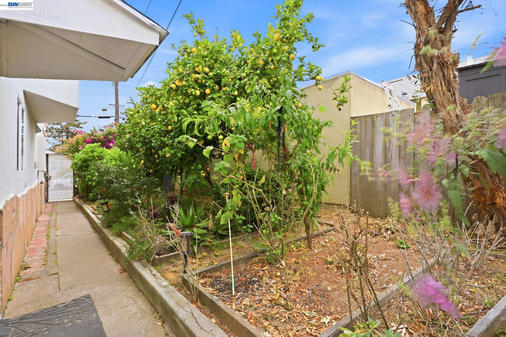 147 San Benito Ave, San Bruno CA 94066 — photo 32