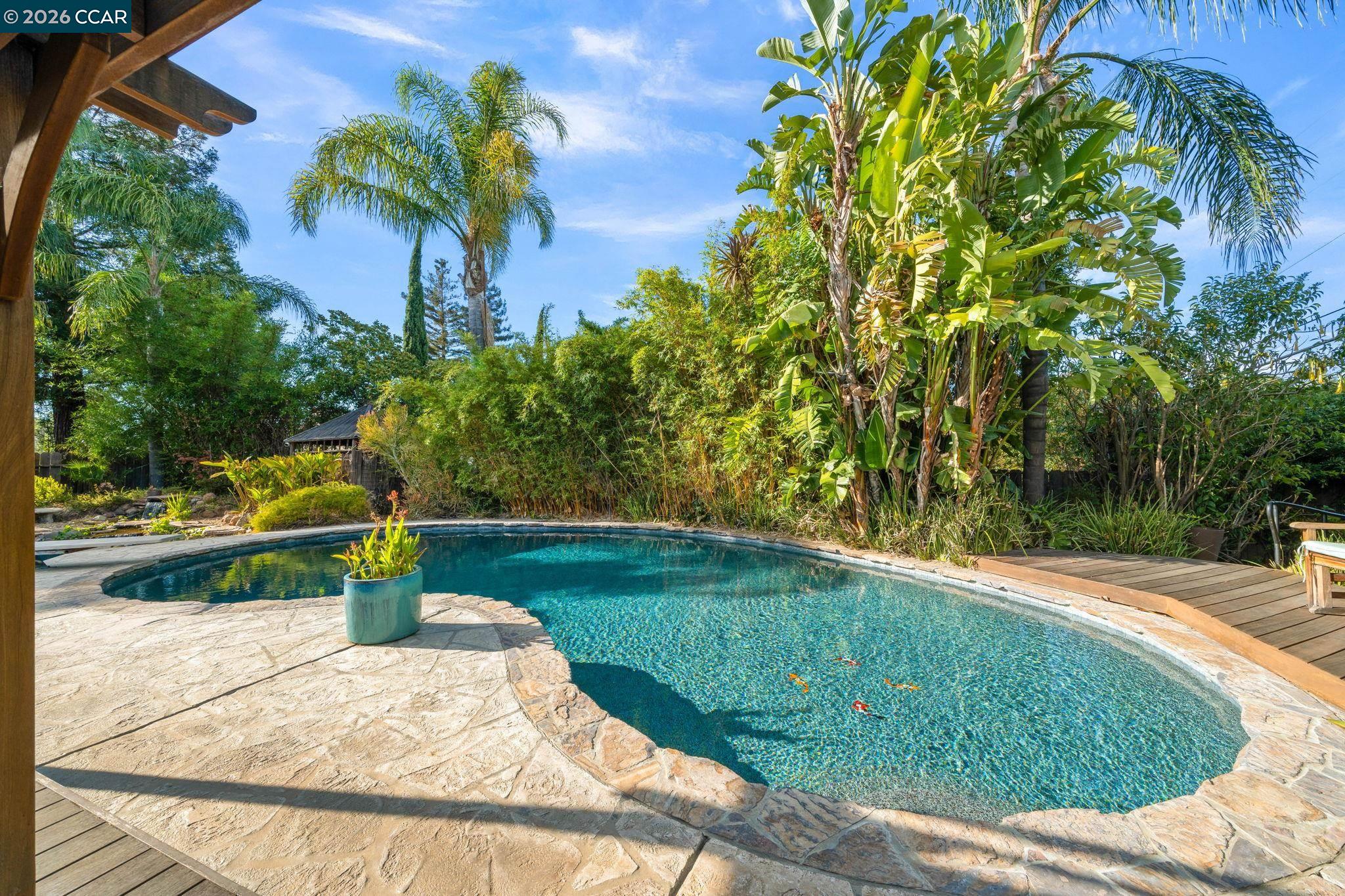 5849 Mitchell Canyon Ct, Clayton CA 94517 — photo 47