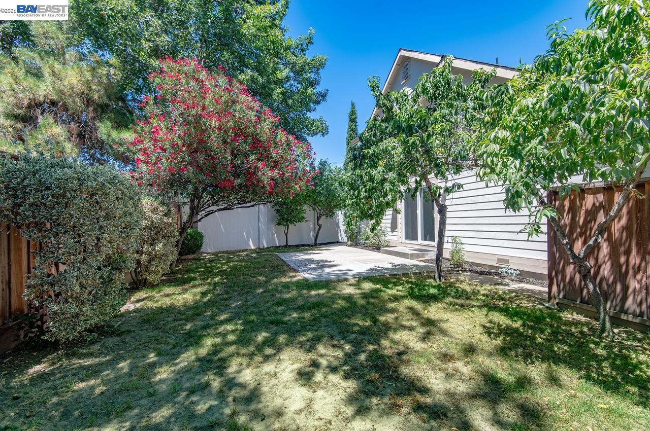 282 Del Valle Ct, Pleasanton CA 94566 — photo 39