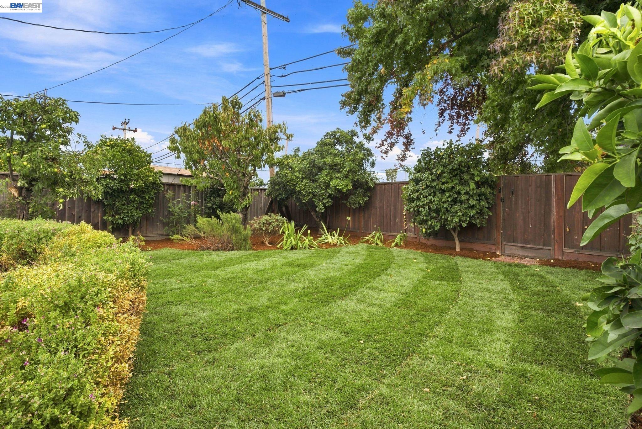 1432 Lodi Ave, San Mateo CA 94401 — photo 37