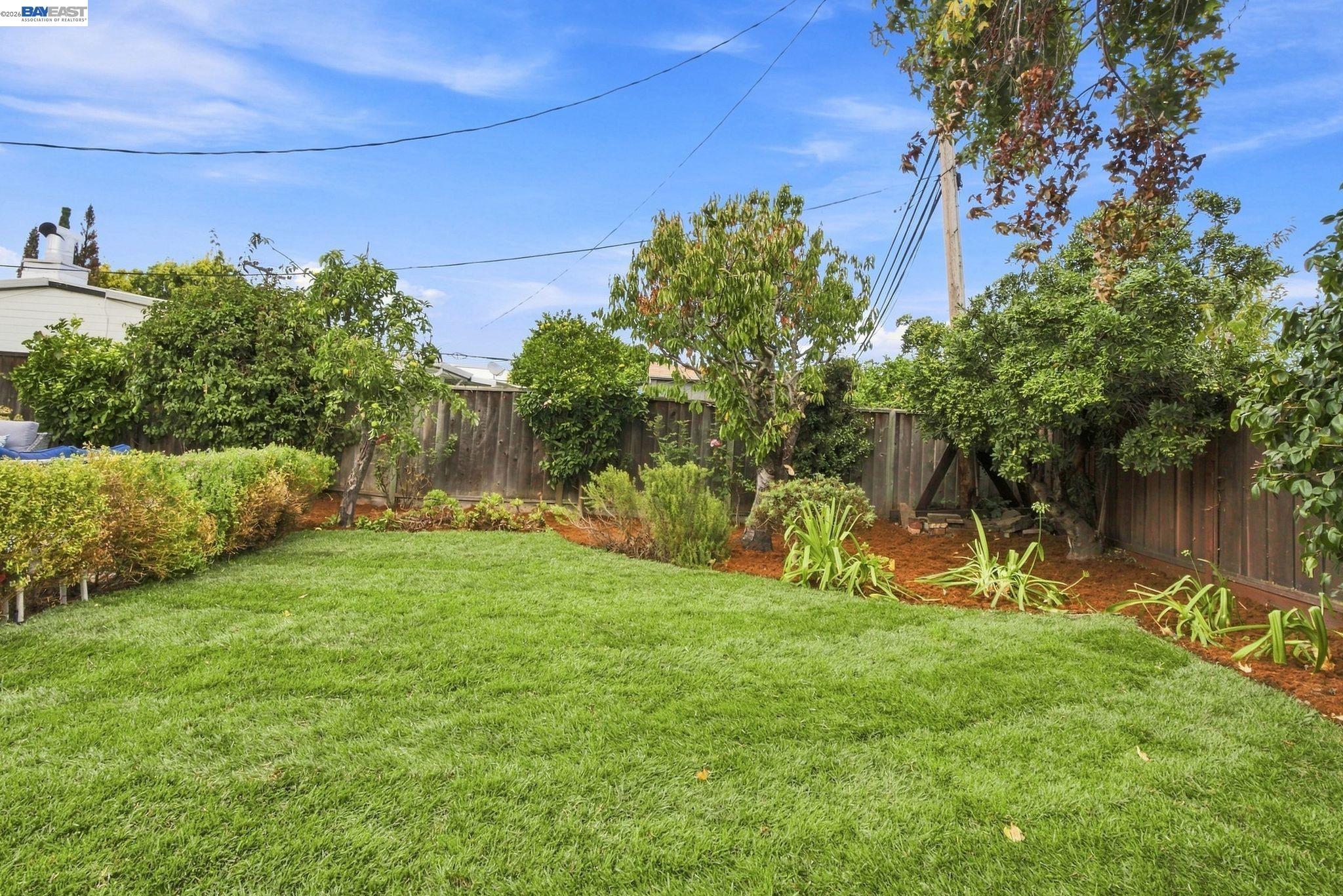 1432 Lodi Ave, San Mateo CA 94401 — photo 39