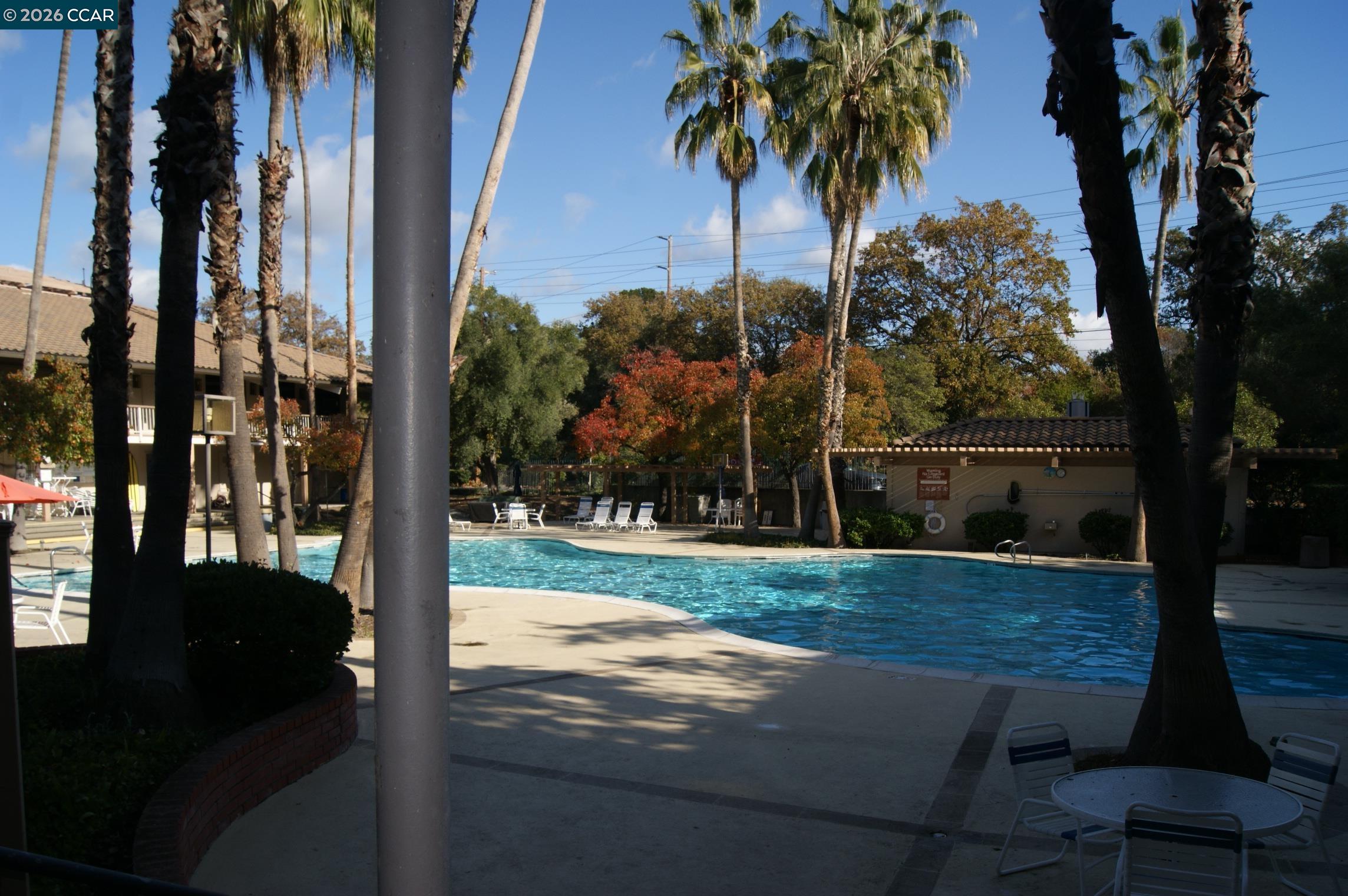 320 N Civic Dr # 205, Walnut Creek CA 94596 — photo 18