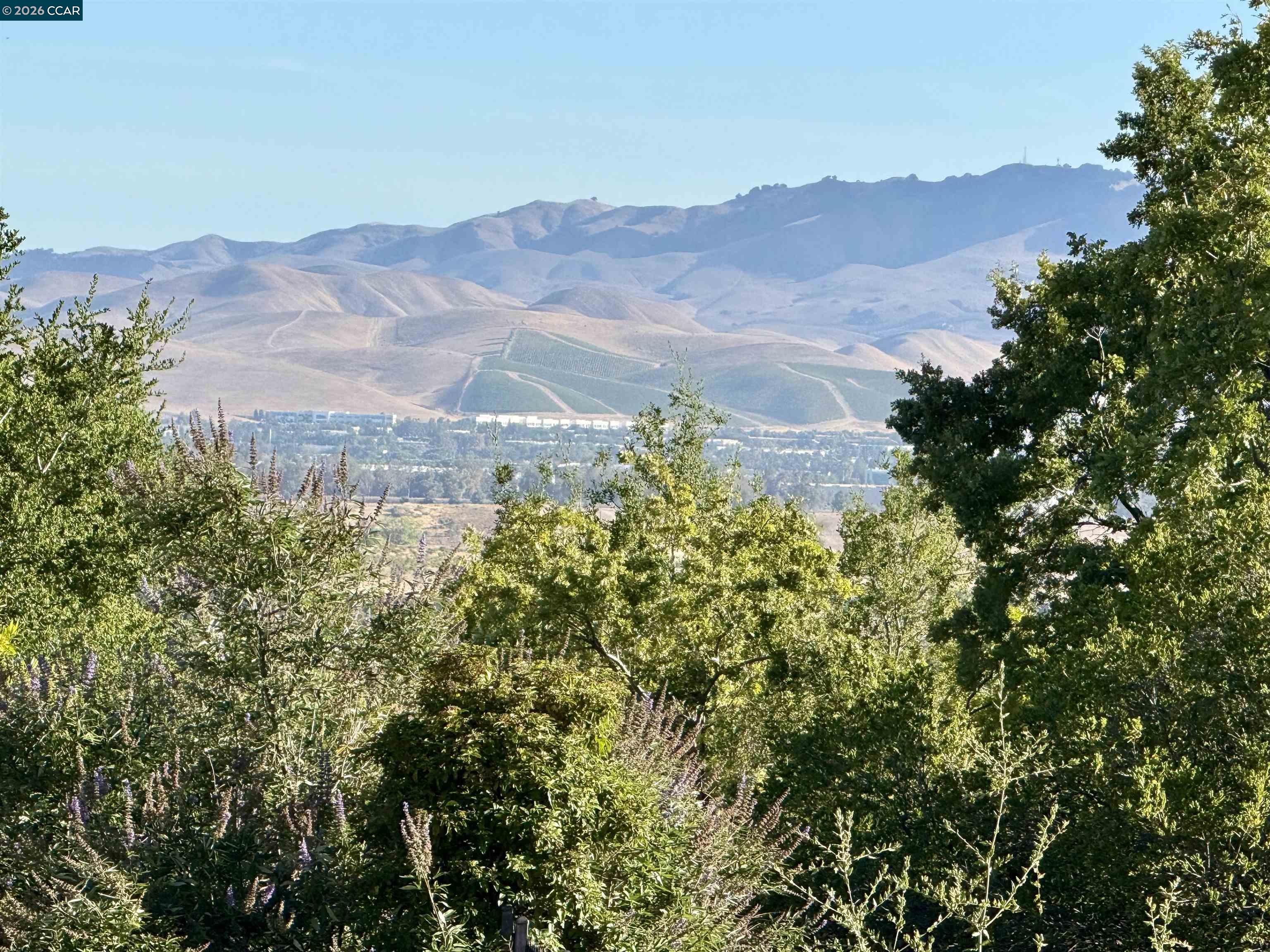 3836 Antonini Way, Pleasanton CA 94566 — photo 65