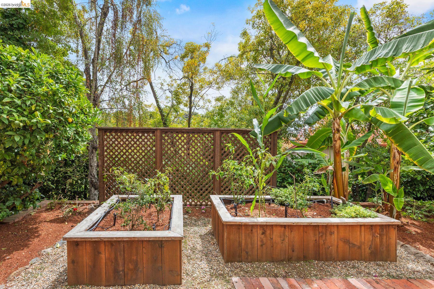 21 Selborne Drive, Piedmont CA 94611 — photo 65