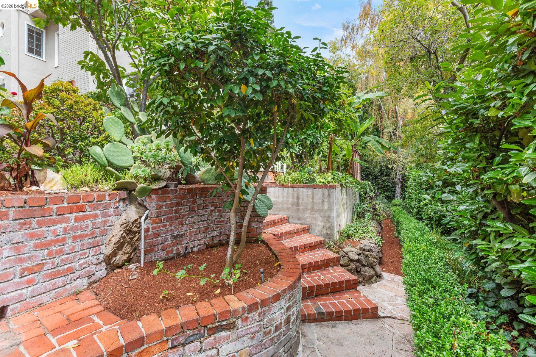 21 Selborne Drive, Piedmont CA 94611 — photo 67