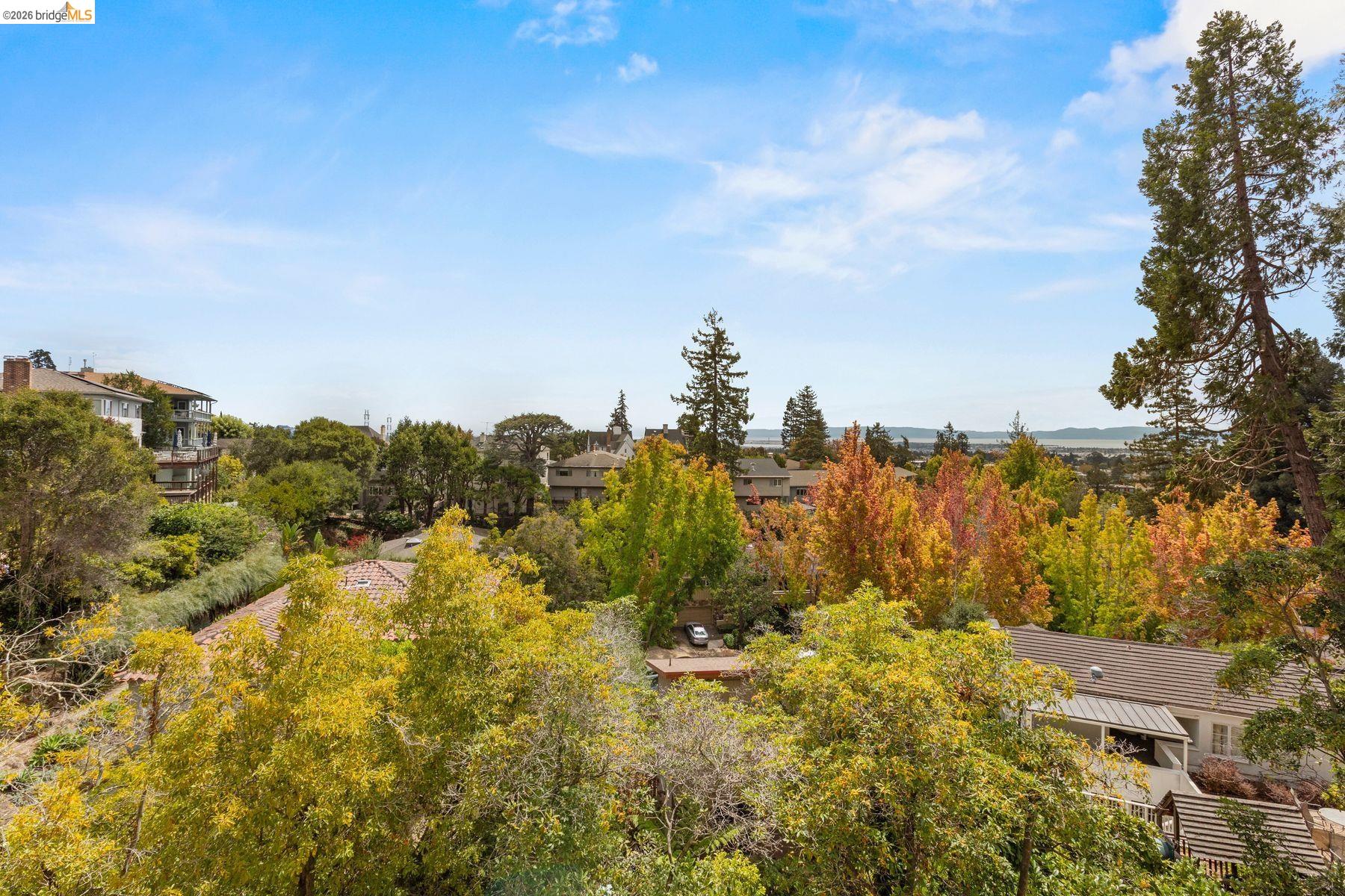21 Selborne Drive, Piedmont CA 94611 — photo 86