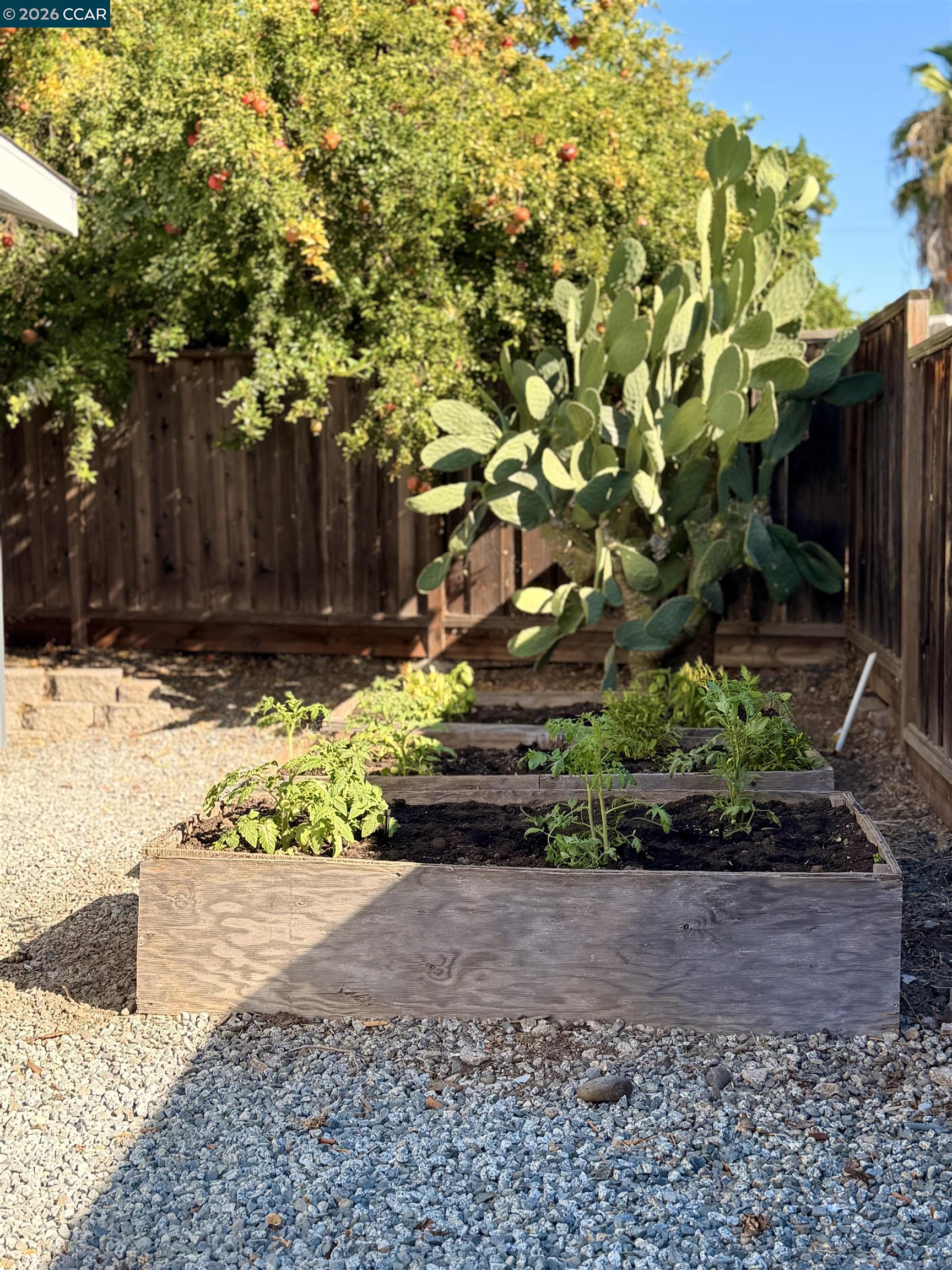 3355 Bennett Way, Concord CA 94519 — photo 23