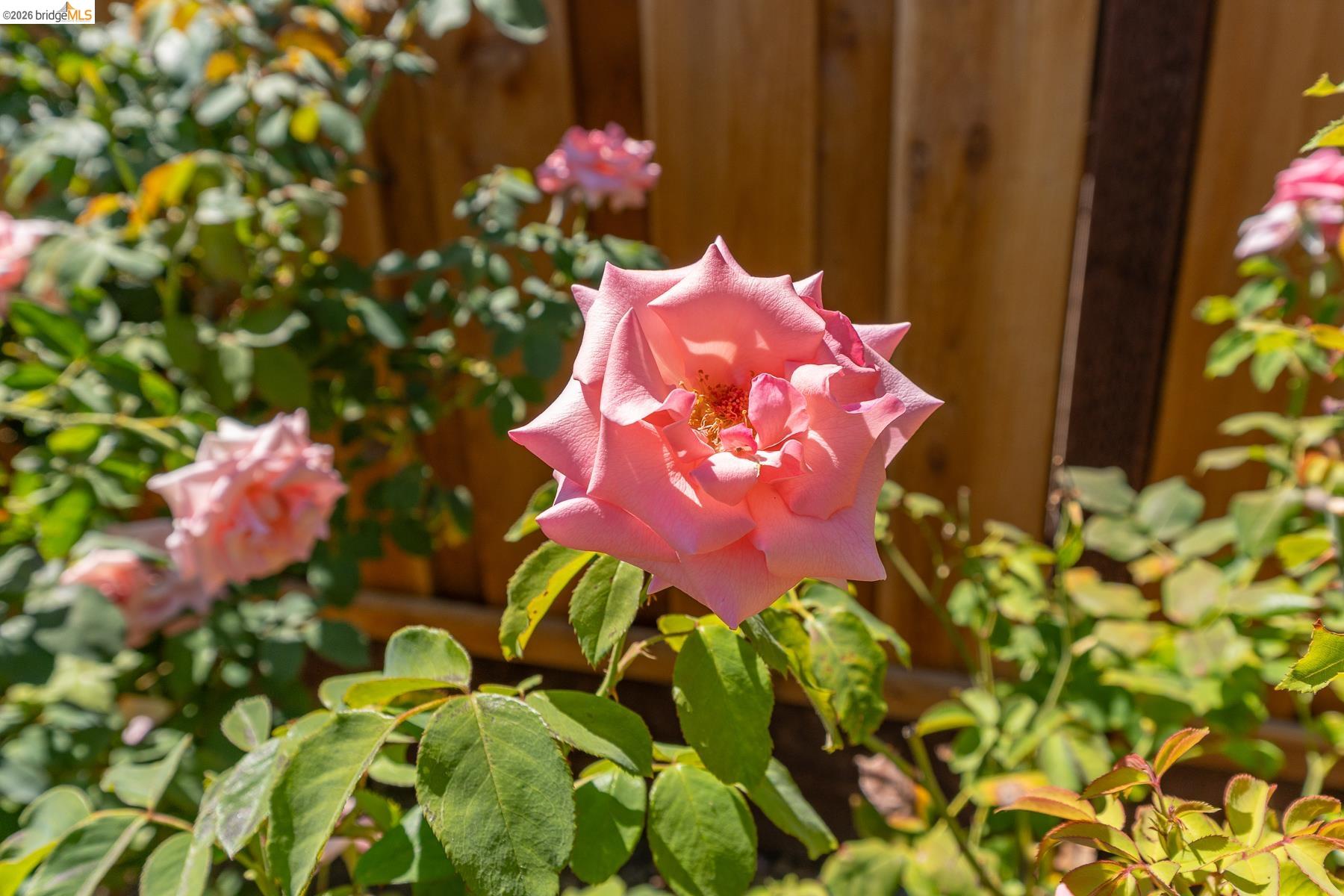 2239 Southwest Ct, Martinez CA 94553 — photo 52