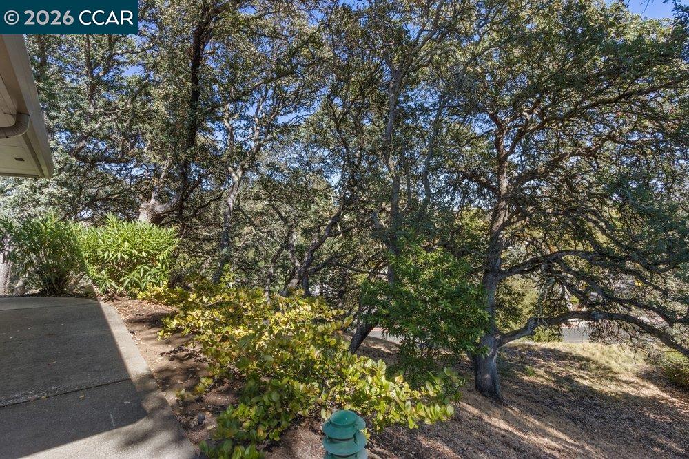 2877 Ptarmigan Dr # 2, Walnut Creek CA 94595 — photo 29
