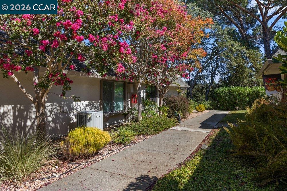 2877 Ptarmigan Dr # 2, Walnut Creek CA 94595 — photo 32