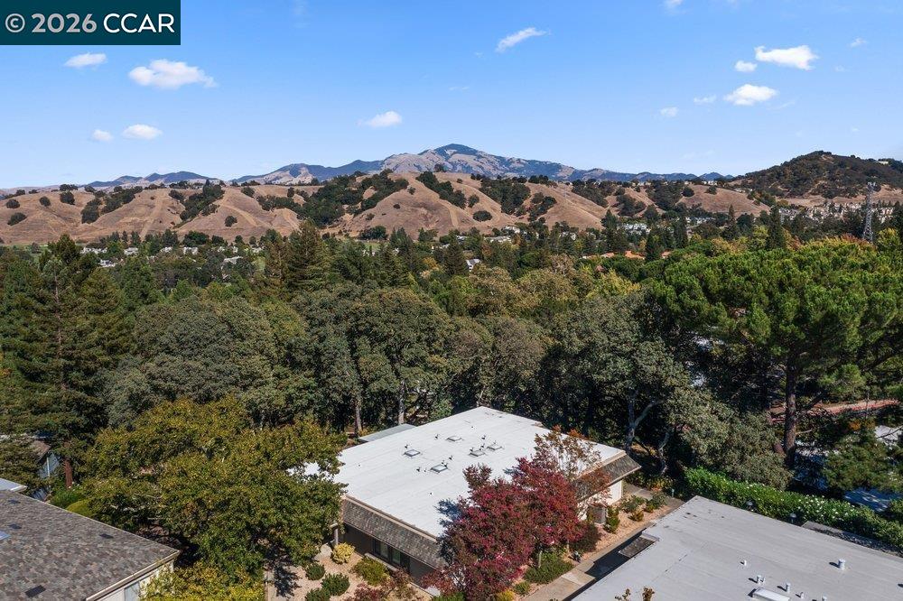 2877 Ptarmigan Dr # 2, Walnut Creek CA 94595 — photo 33