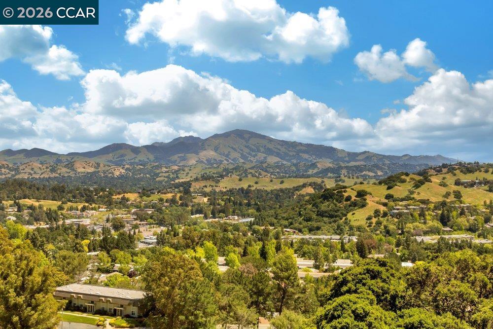 2877 Ptarmigan Dr # 2, Walnut Creek CA 94595 — photo 38