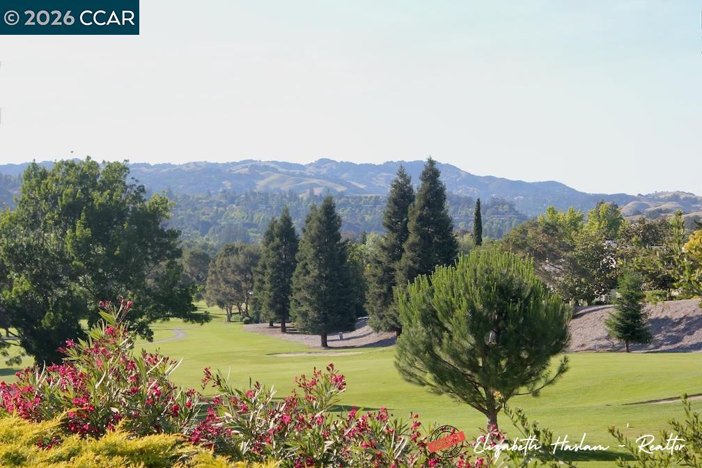 2877 Ptarmigan Dr # 2, Walnut Creek CA 94595 — photo 46