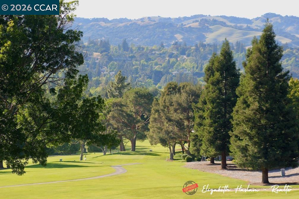 2877 Ptarmigan Dr # 2, Walnut Creek CA 94595 — photo 47