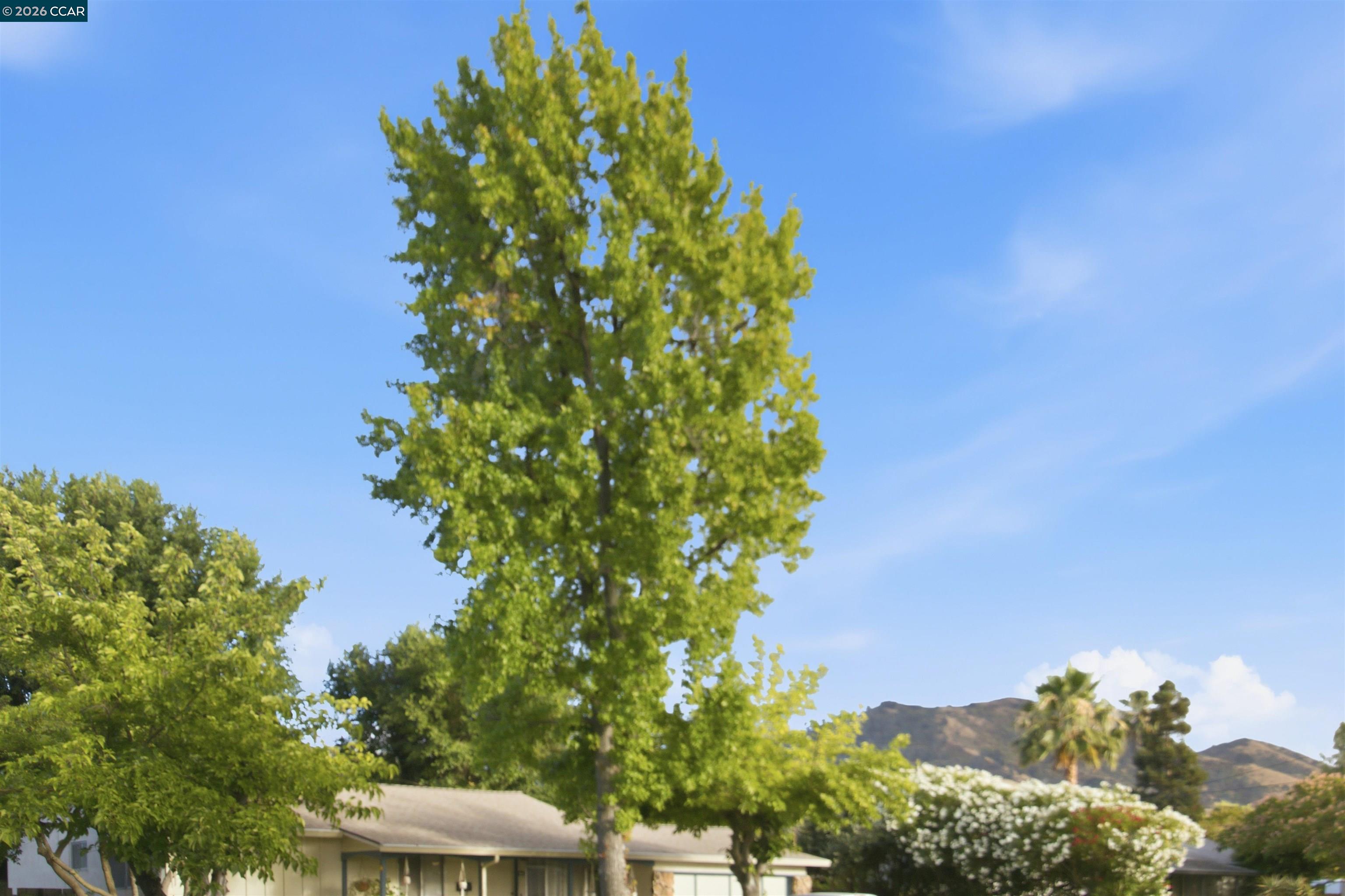 1412 Delaware Dr, Concord CA 94521 — photo 31