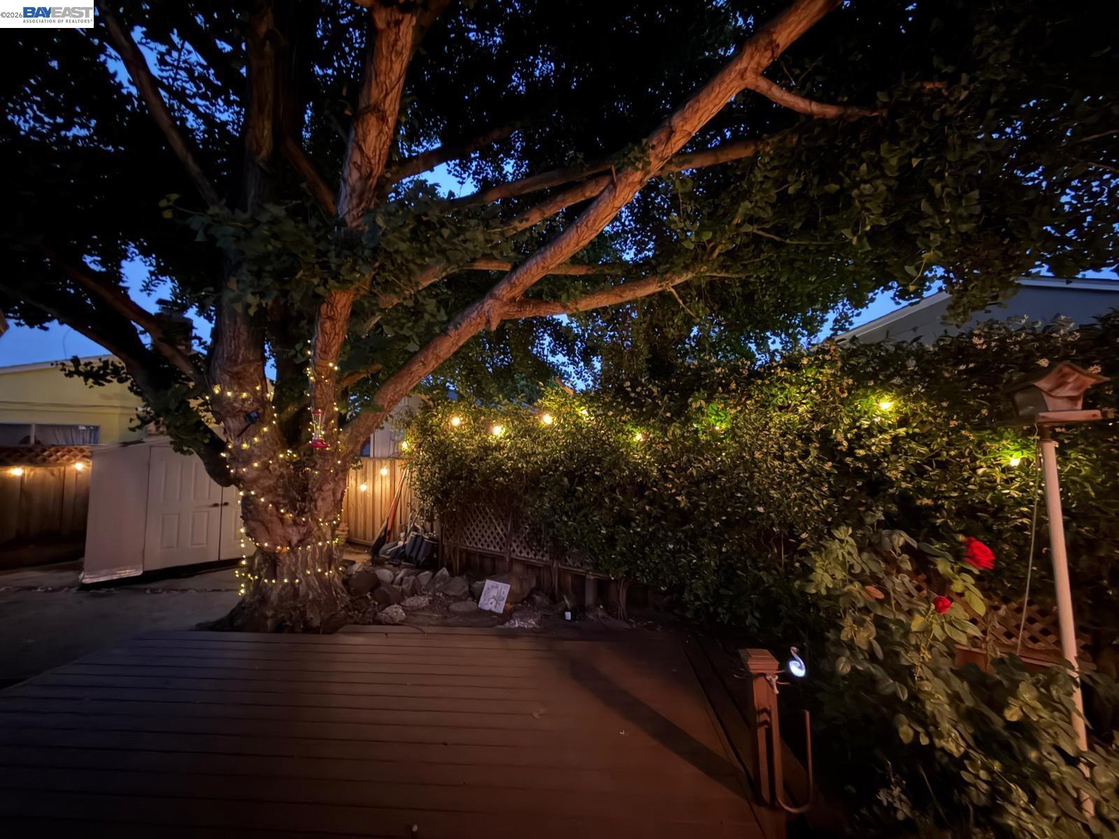2394 Tahiti St, Hayward CA 94545 — photo 42