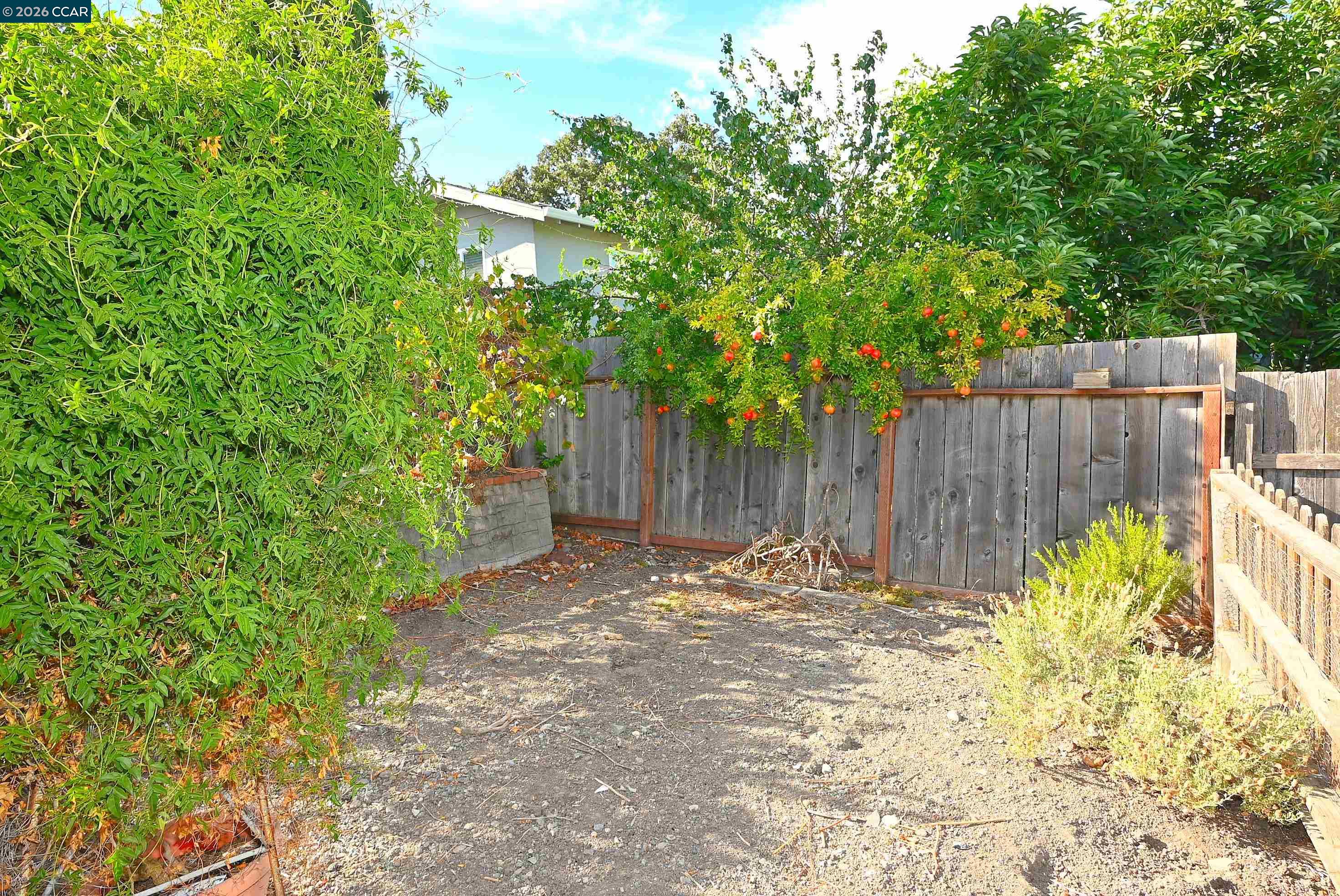 1035 Palm Ave, Martinez CA 94553 — photo 26