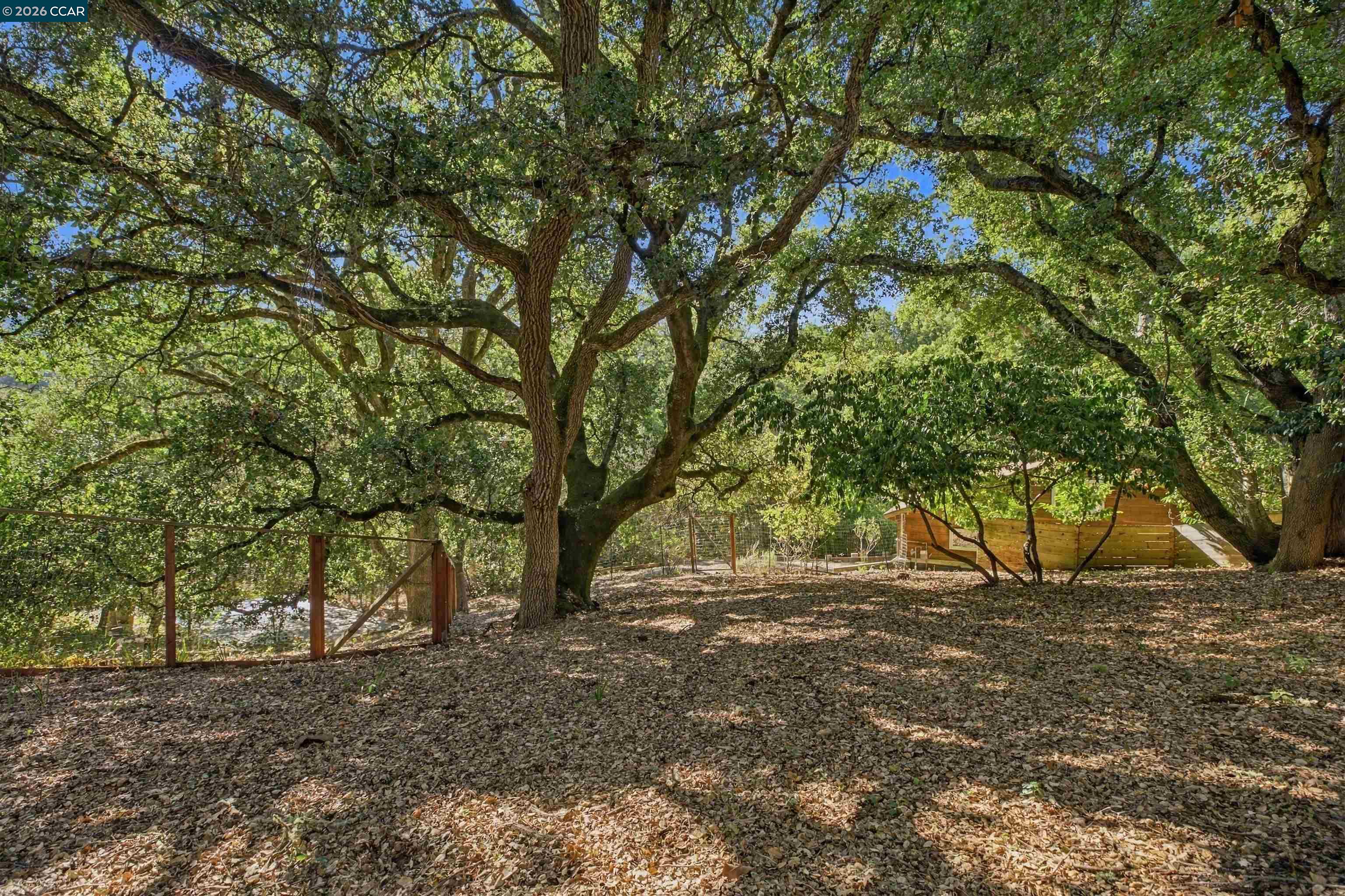 33 Oakwood, Orinda CA 94563 — photo 21