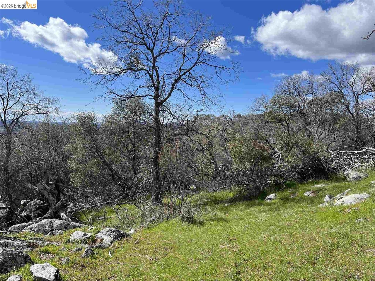 18351 Olov, Sonora CA 95370 — photo 13