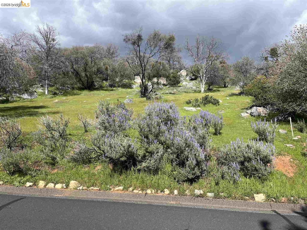 18351 Olov, Sonora CA 95370 — photo 18