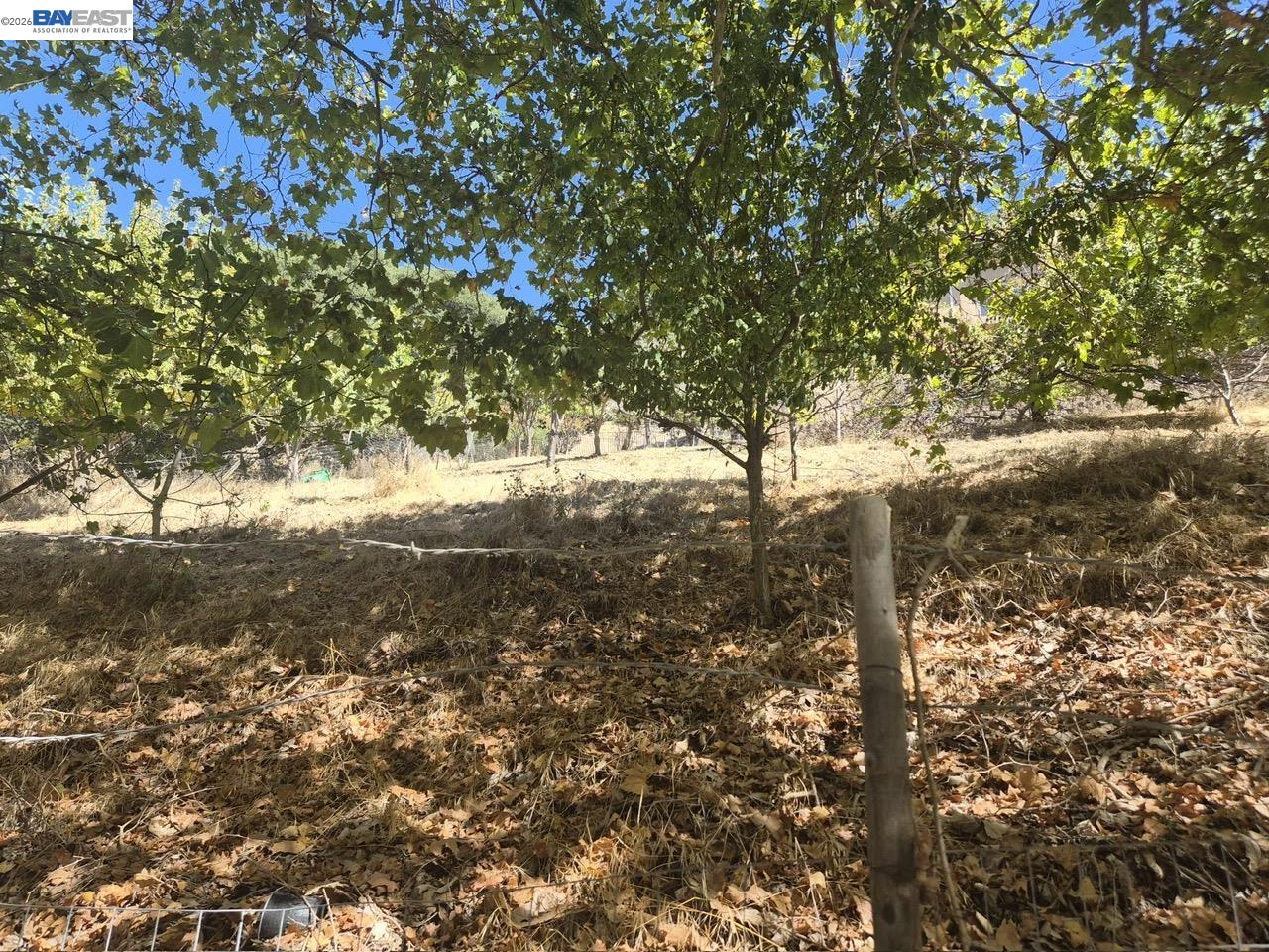 0 Garin Ave, Hayward CA 94544 — photo 5